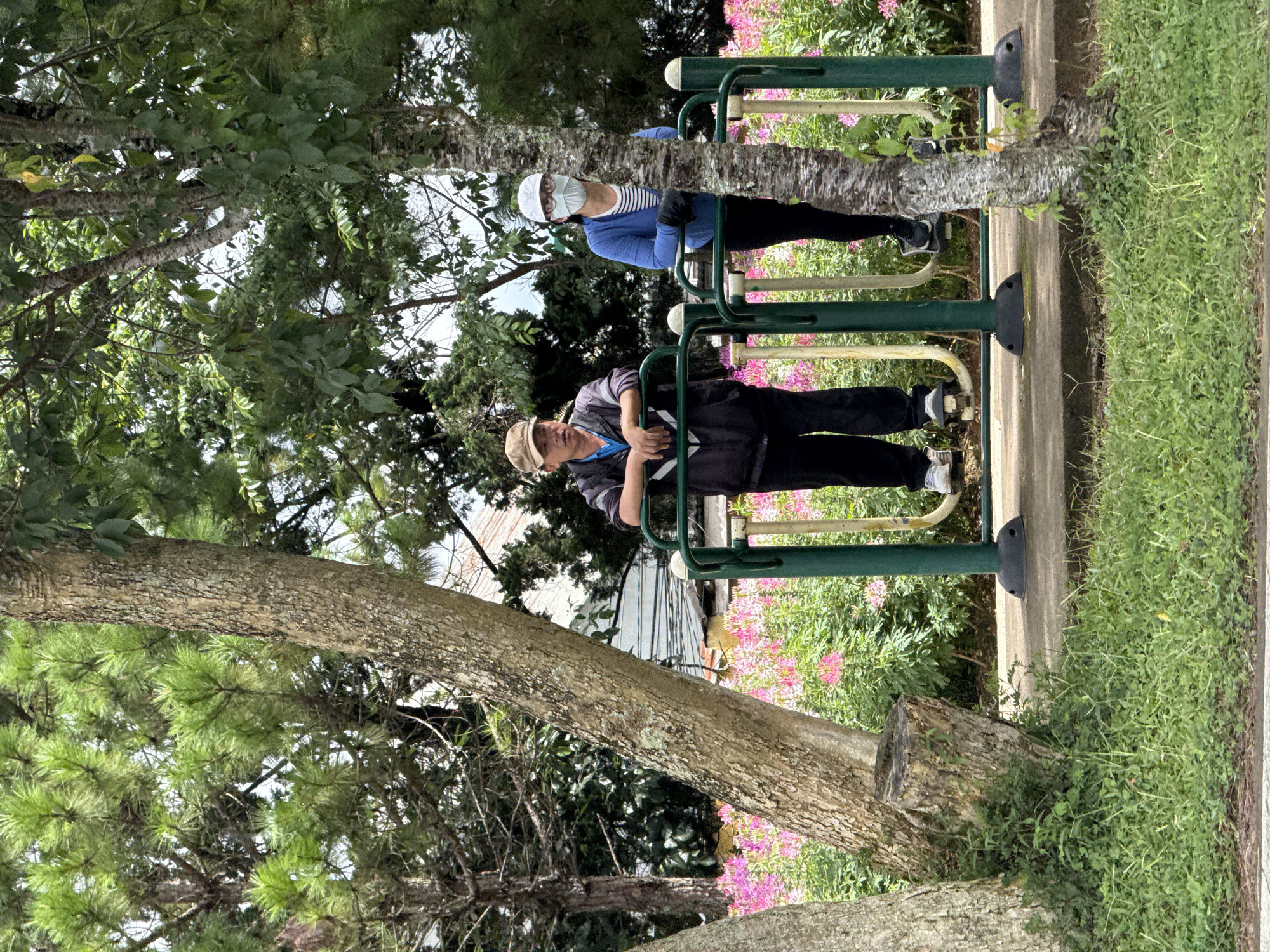 In Da Lat, Vietnam, two individuals are utilizing outdoor exercise equipment in a park-like setting. The person on the left, an adult male wearing a light brown cap, a dark jacket over a blue shirt, and dark pants, is positioned at a green exercise machine with his hands on a bar. To his right, another adult, wearing a white cap, a blue cardigan over a striped shirt, black pants, and a face mask, is using a similar green exercise machine, also with hands on a bar. Both individuals are wearing athletic shoes. The machines are situated on a paved surface, surrounded by lush green grass and a vibrant bed of pink flowers. Several trees, including a prominent pine tree on the left and a smaller, textured tree in the foreground on the right, provide a natural backdrop to the scene. In the background, a building with a reddish roof is partially visible through the foliage, suggesting a developed area within the park. The lighting indicates it is daytime, possibly overcast.