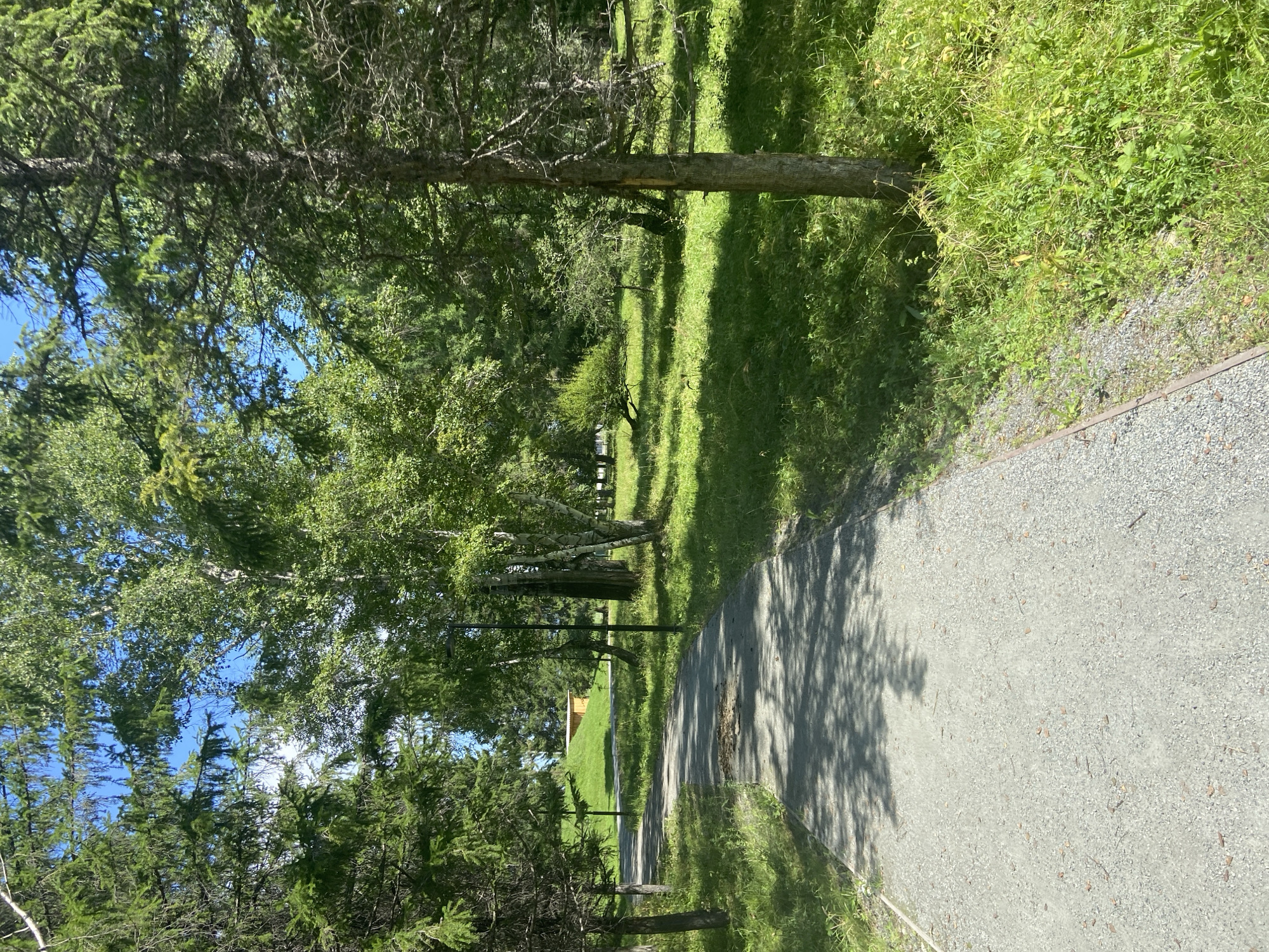 The image depicts a paved walking path curving through a park-like environment with a variety of trees, including coniferous and deciduous species, casting shadows on the path. Lush green grass and undergrowth surround the path. In the background, a small, yellow, shed-like structure is visible on a grassy hill. The sky is blue with some visible clouds. The location is identified as Kyren, Russia. There are no people or animals visible in the image, and no discernible actions or interactions are occurring. The scene is static and natural.