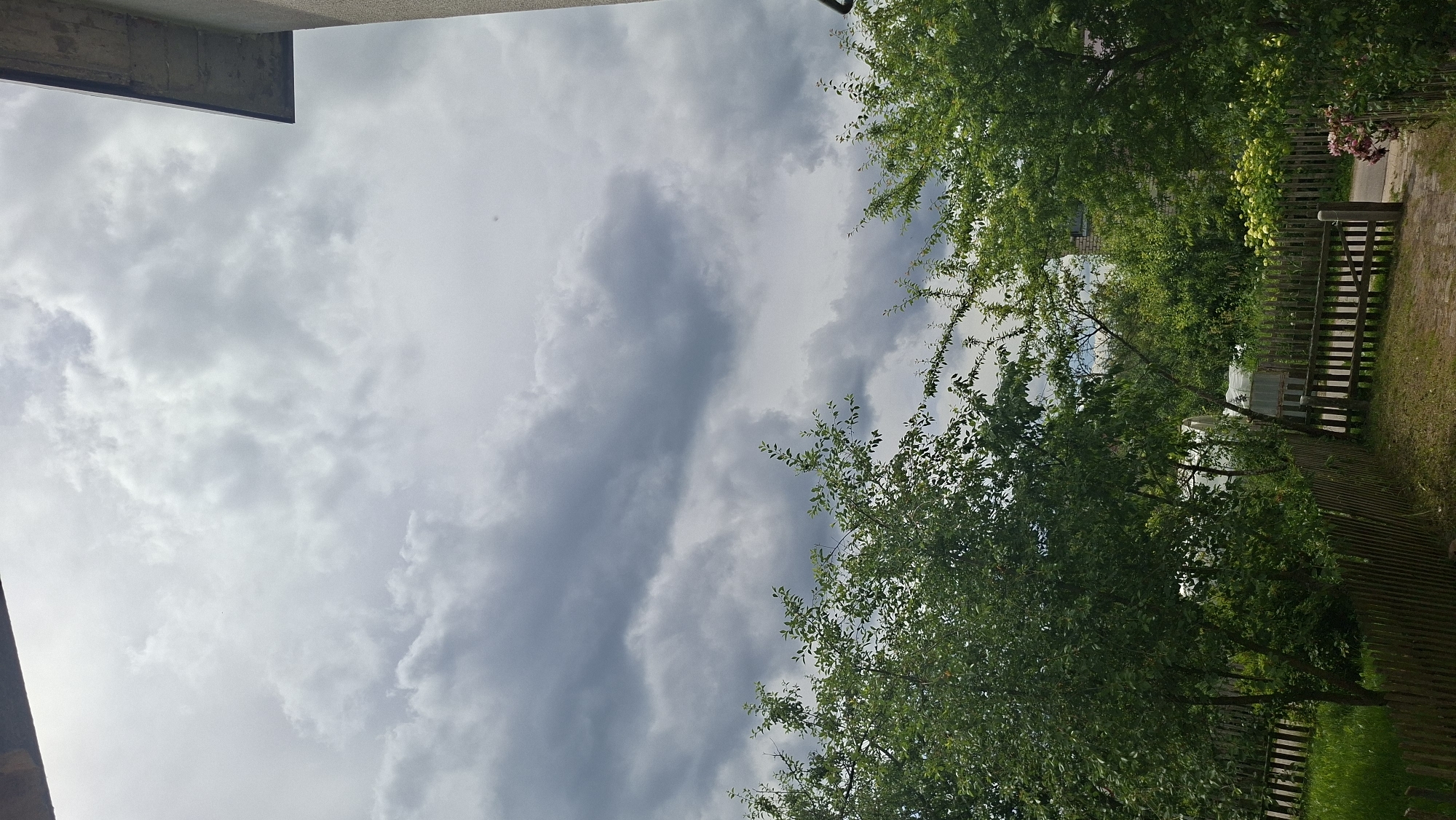The image depicts a backyard scene with a wooden fence in the foreground, separating a grassy area from a pathway. Two trees with lush green foliage are prominent on either side of the frame. Beyond the trees, there is a greenhouse structure and more greenery. The sky above is overcast with dark, heavy clouds, suggesting impending rain. The location is identified as Забалоцкі сельскі Савет, Belarus. The scene is static and peaceful, with no people or animals visible.