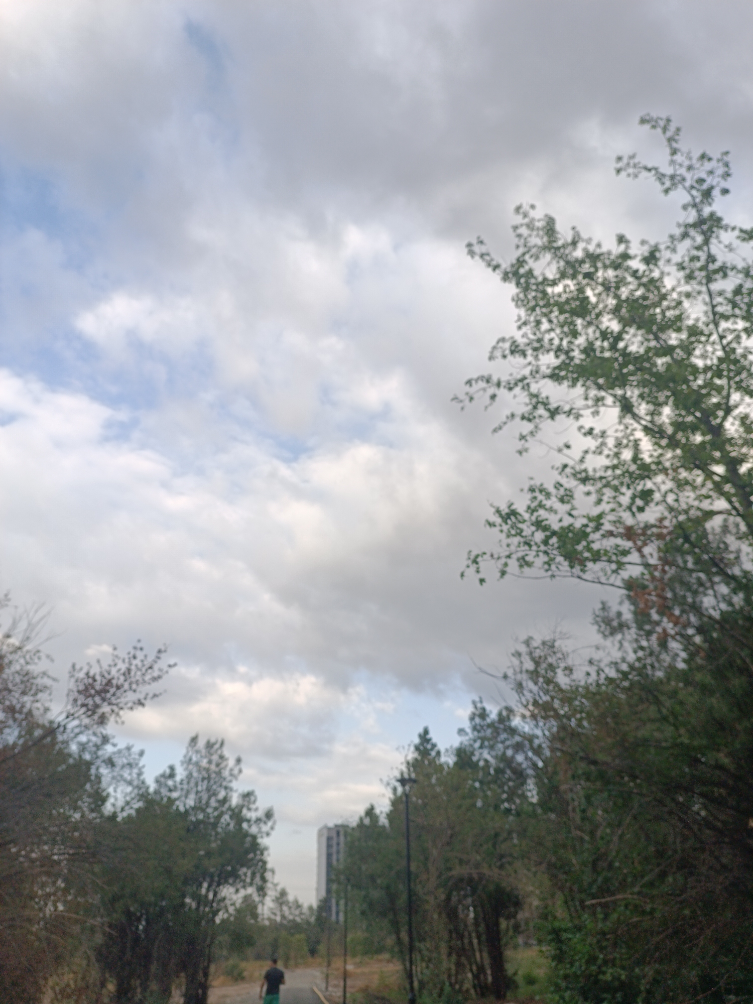 The image depicts an outdoor scene with a person walking away from the camera on a paved path, surrounded by trees and vegetation. The sky is cloudy, with patches of blue visible. In the background, a tall, modern building stands out, suggesting an urban or semi-urban environment. The overall impression is that of a park or natural area within a city.