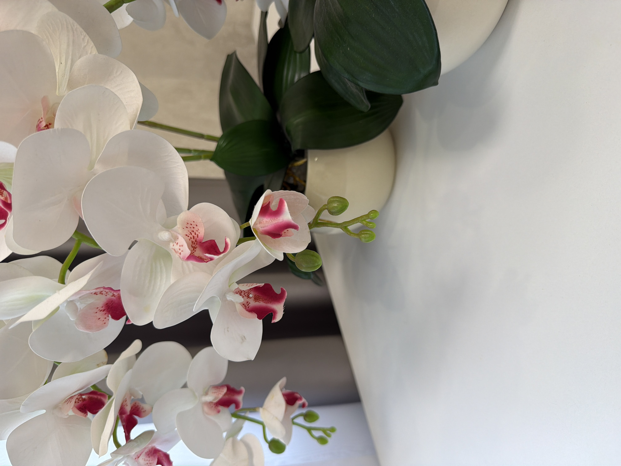 A close-up, eye-level, vertical shot shows a cluster of artificial white orchids with fuchsia and pink accents in their centers. The flowers are arranged in a cream-colored pot, which is partially visible on the right side of the frame. Several dark green, glossy leaves are also visible, surrounding the pot. The orchids are hanging down, with some unopened buds visible on thin green stems. The arrangement sits on a flat, white surface, which extends across the bottom of the frame and into the foreground. In the background, a blurred, light grey curtain or blind is visible. The lighting is soft and diffused, creating subtle shadows. There are no people or animals in the image, and the scene appears to be indoors, possibly in a home or office setting. There are no discernible landmarks or features that would indicate a specific location within a city.