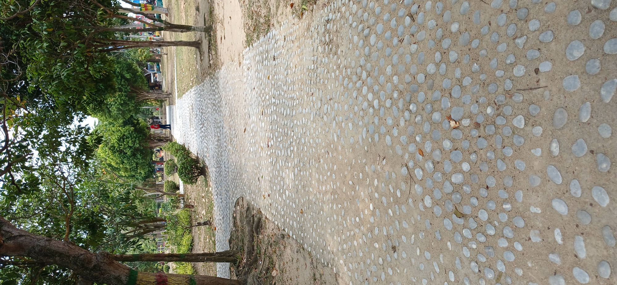 A paved pathway made of small grey stones winds through a park in Tanjung Balai Karimun, Indonesia. The pathway is lined with manicured green bushes and surrounded by mature trees with lush green foliage. A person in a red shirt stands on the pathway in the distance, facing away from the camera. The ground on either side of the pathway is covered with dry leaves and sparse grass. The overall environment suggests a public park area.