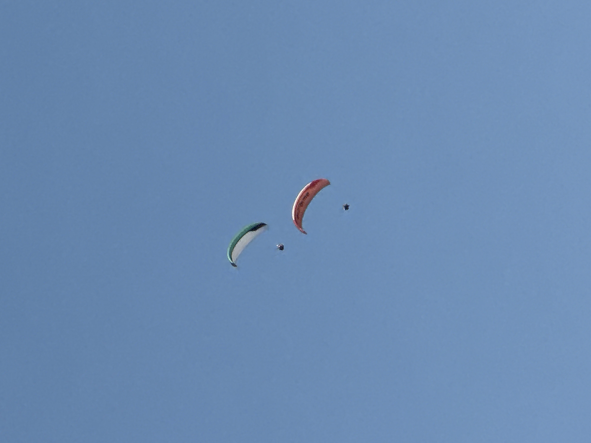 In this image, two paragliders are captured mid-flight against a clear blue sky. The paraglider on the left features a green and white canopy, shaped like a crescent moon, with a person suspended beneath it. To its right, another paraglider displays a red canopy, also in a crescent shape, with a person attached. In between the two paragliders, a smaller, dark object, possibly another person or a smaller paraglider, is also visible in the sky. The vast expanse of the blue sky suggests a daytime scene, likely with fair weather suitable for paragliding. The setting is a wide-open sky, with no land or terrestrial features visible, hinting at a location where paragliding is a common activity. The overall mood is one of freedom and adventure, as the paragliders appear to be enjoying a recreational flight. No text is visible in the image.