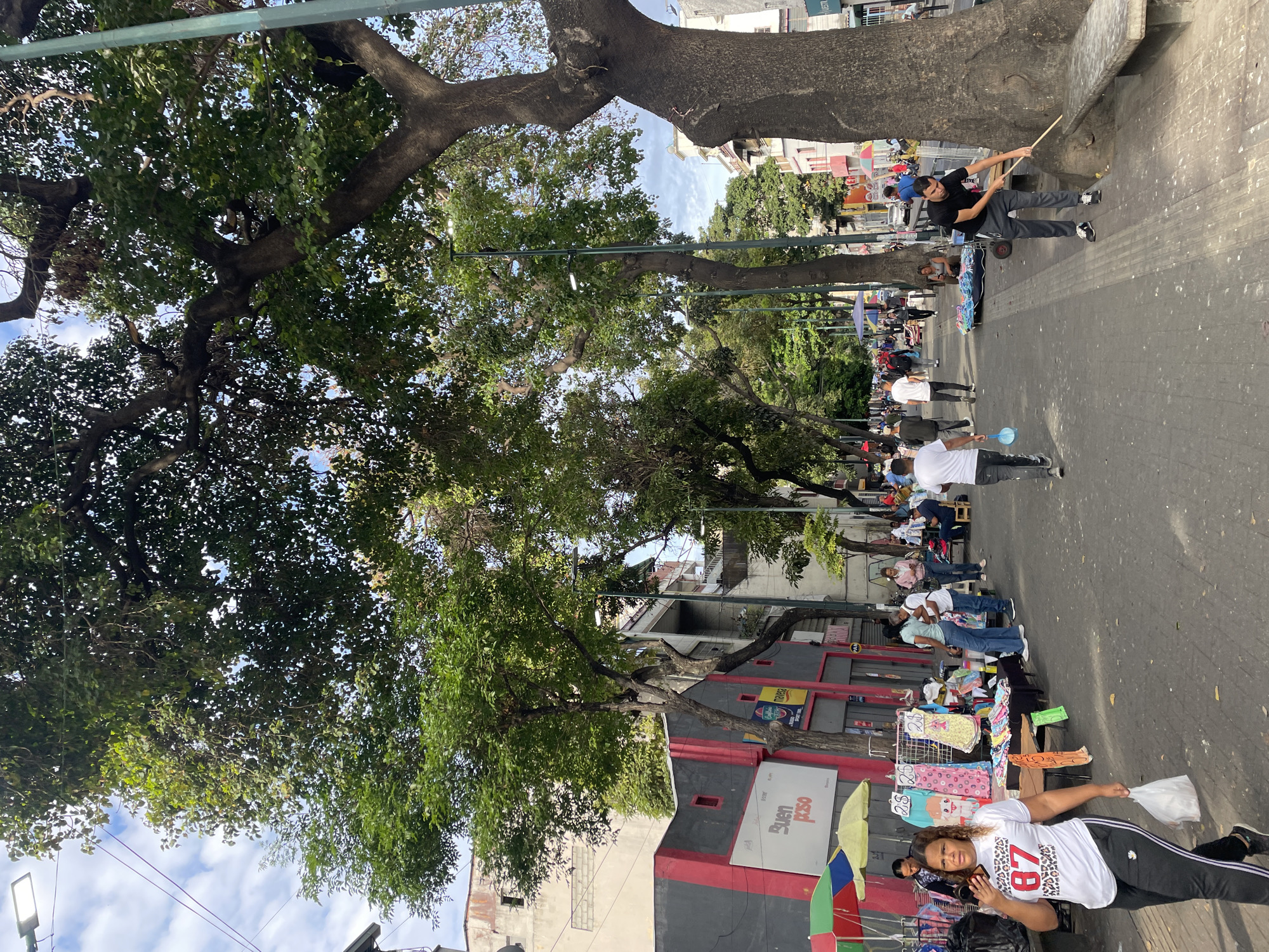 The image captures a bustling street scene in Caracas, Venezuela. A wide pedestrian walkway, likely a marketplace, is lined with mature, leafy trees providing shade. People are engaged in various activities: some appear to be shopping from vendors displaying goods on tables, others are walking through the area, and one man is using sticks to dislodge something from a tree. The environment includes multi-story buildings lining the street, with visible signage and architectural details typical of an urban setting. The overall atmosphere suggests a busy, active, and vibrant public space.