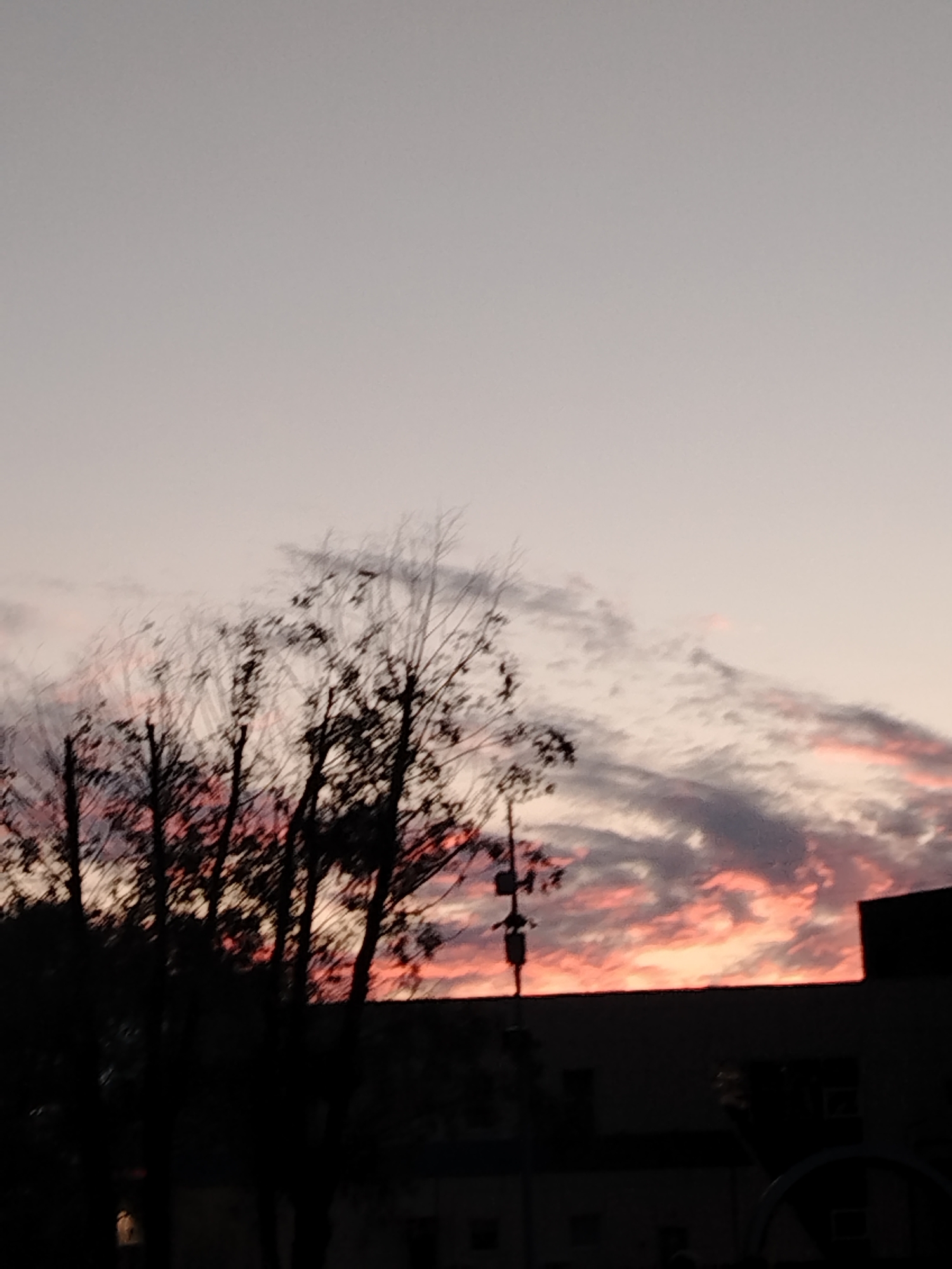 The image depicts a sunset sky with clouds tinged with pink and orange hues. Silhouetted against the sky are the bare branches of trees and the dark shapes of buildings. A utility pole with multiple fixtures is visible in the mid-ground, to the left of center. The lower portion of the image is dominated by the dark outlines of structures, obscuring most details of the ground and any potential inhabitants or activities. The overall atmosphere is one of twilight or early evening. The location is stated to be in the city of Yaroslavl, Russia.