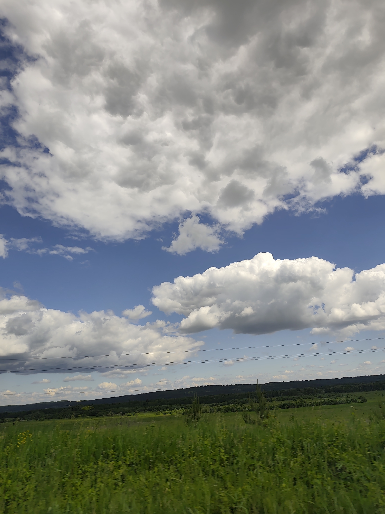 The image depicts a rural landscape under a cloudy sky. A vast, green field with tall grass occupies the foreground. In the middle ground, a dense line of dark green trees forms a horizon. Above the trees, a bright blue sky is visible, filled with large, white, cumulus clouds, some of which are tinged with gray, indicating potential rain. Two parallel lines, possibly power lines, are faintly visible stretching across the middle of the image, horizontally. The scene appears to be located in or near the village of Кварса, Russia, given the natural, undeveloped environment. No people or specific objects of interest are discernible in the image.