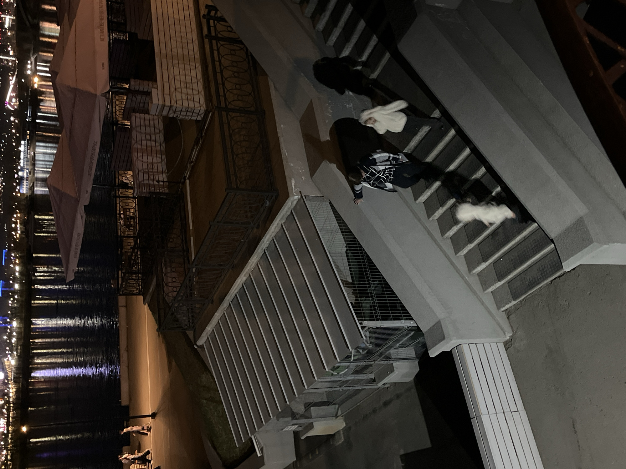 The image captures a nighttime scene along an urban waterfront, with city lights reflecting on the dark water. The perspective is tilted, depicting a concrete staircase descending on the right side of the frame and a building with an outdoor area on the left.
On the concrete stairs, three individuals are descending. The lowest person on the stairs is wearing a black and white patterned top and dark trousers, appearing to lean forward. Further up, another person in dark clothing is largely obscured by shadow. A third individual, higher up the stairs, is wearing a white fluffy jacket. A blurry white furry animal, possibly a small dog or ferret, is also visible on the lower steps, seemingly accompanying the people.
To the left of the stairs, a building complex features an outdoor seating area covered by several large, light-colored awnings or umbrellas. Decorative wrought iron railings are prominent around this area. Beyond the building, the dark water reflects numerous distant lights, indicative of an active cityscape across the body of water. A paved walkway or promenade is visible along the water's edge below the building.
The scene is illuminated by artificial light sources, confirming the time of day as night.
Visible text on the awnings is in Cyrillic: "МЕТОДЫ НЕЙТРАЛИЗАЦИИ БИОТОКСИНОВ" (Methods of neutralization of biotoxins), "КУРСЫ РАСПИСАНИЯ ОТДЫХА" (Leisure schedule courses), and the word "KART."