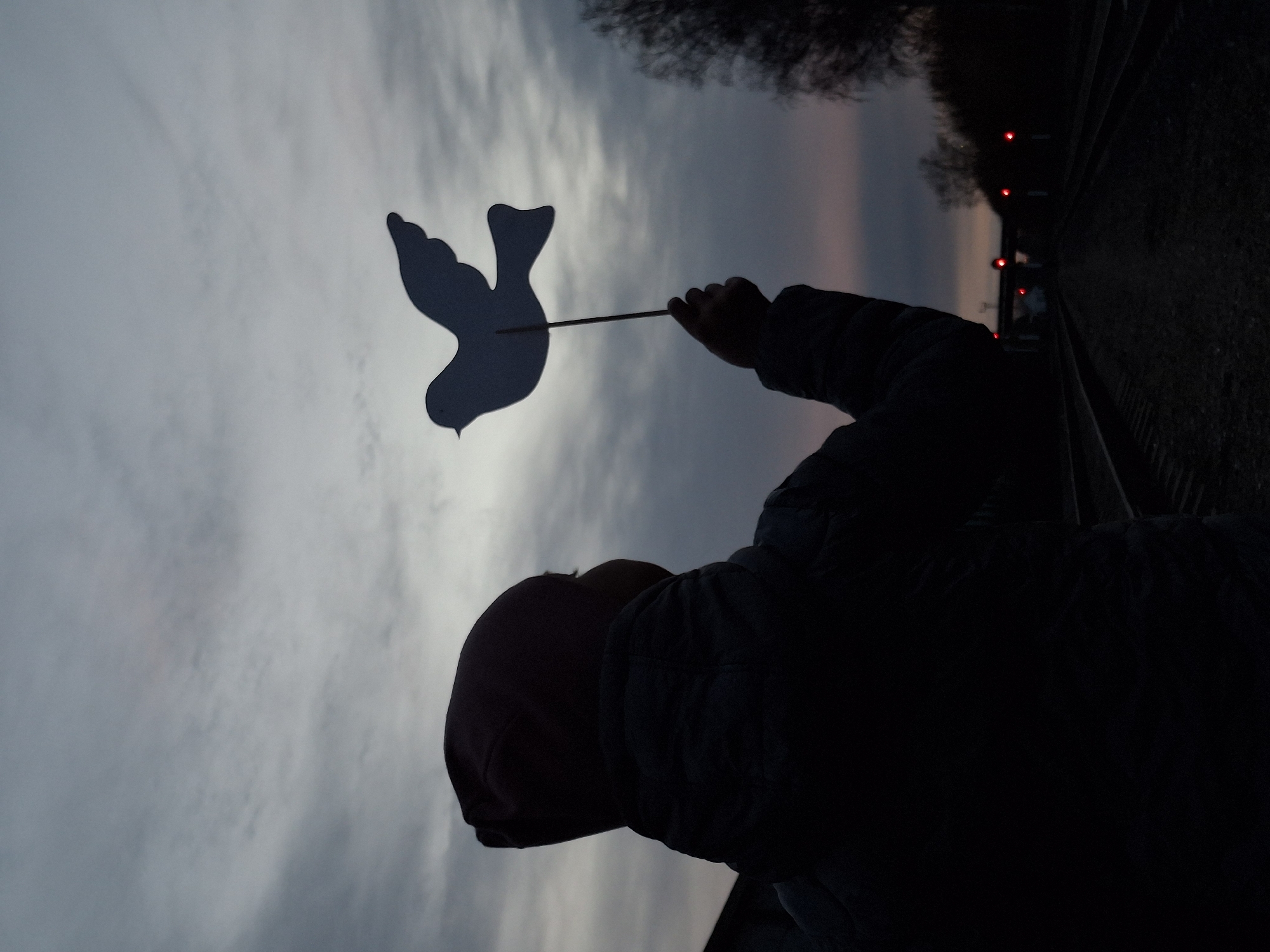 This vertically oriented image, captured in Chaikovsky, Russia, features a person in silhouette holding a paper cutout of a dove on a stick against a cloudy, atmospheric sky. The person, positioned in the foreground on the left, is seen from the side, with their head slightly tilted back, seemingly looking up or towards the dove. They appear to be wearing a hooded jacket.
The white cutout of a dove, a universal symbol of peace, is held prominently in the person's right hand, which extends upwards into the frame. The dove is silhouetted against the brighter parts of the sky.
The background consists of a cloudy sky, transitioning from a lighter, overcast grey in the upper left to darker, more muted tones of blue and grey towards the lower right, suggesting a time of day around dusk or early evening. On the far right side of the image, a dark area resembling railroad tracks stretches into the distance, accompanied by several distinct red lights, possibly signal lights. Dark, silhouetted trees are also visible near the horizon line above the tracks. No visible text is present in the image. The scene evokes a quiet, reflective, or hopeful mood.
