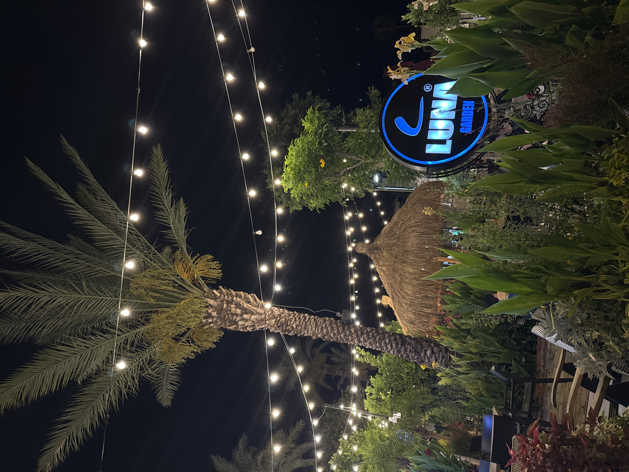 The image depicts an outdoor dining area at night, illuminated by string lights. A prominent palm tree stands in the foreground, with lush green foliage and a thatched-roof structure behind it. A circular blue neon sign reads "LUNA GARDEN" with a stylized "L" logo. The scene suggests a relaxed atmosphere, possibly a restaurant or cafe, in Antalya, Turkey, known for its coastal beauty and vibrant nightlife. The presence of palm trees and the overall ambiance are consistent with a Mediterranean setting.