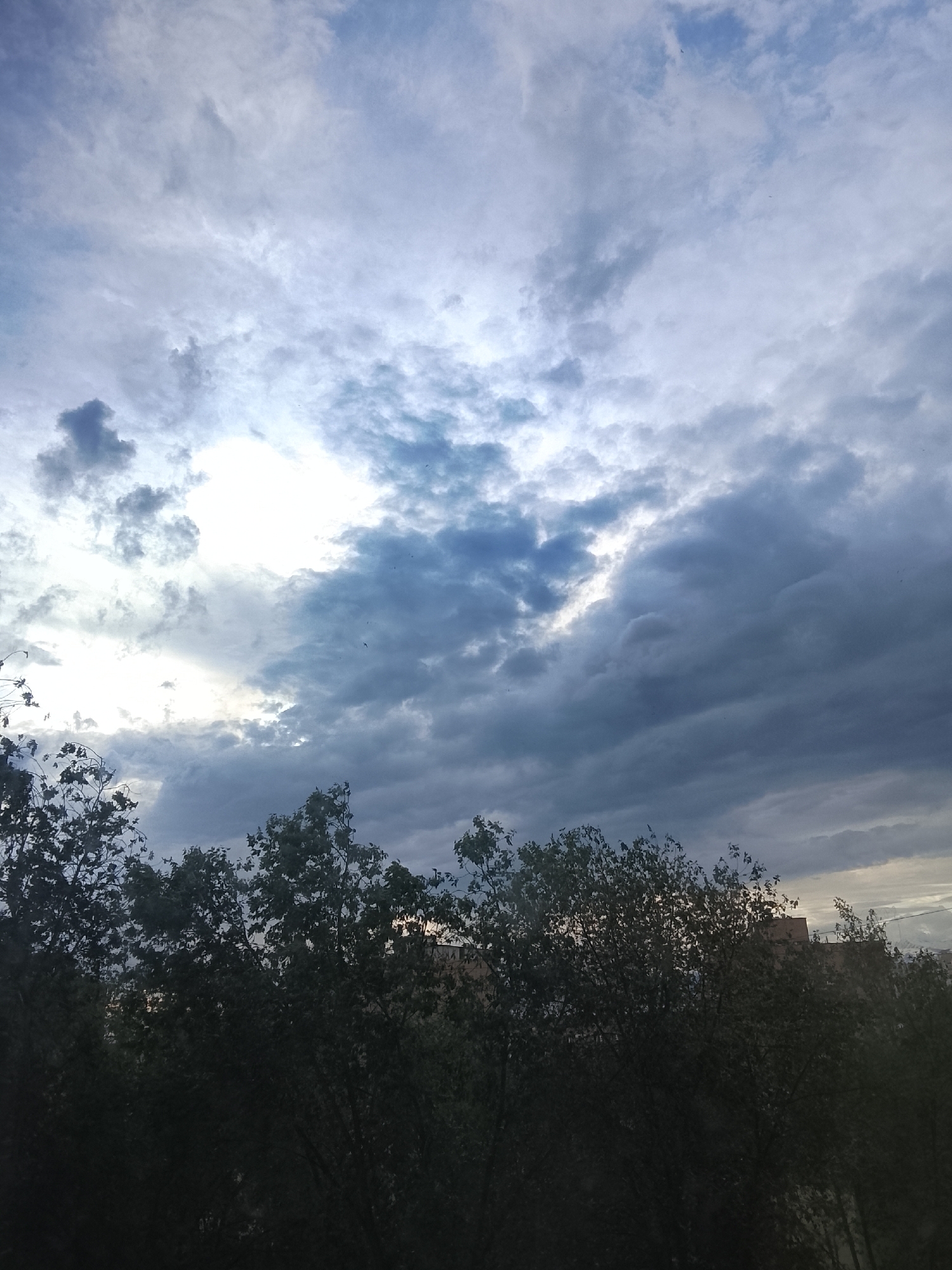 The image captures an expansive, cloudy sky with a line of trees and distant buildings visible at the bottom. The sky is largely overcast, featuring a diverse array of cloud formations, from wispy, lighter-toned clouds to denser, darker grey and blue-grey masses. A prominent bright area on the upper left suggests the sun's presence behind the clouds, casting diffused light across the scene.
In the lower portion of the frame, the tops of numerous trees, likely deciduous, form a dark, dense silhouette against the brighter sky, indicating they are either backlit or heavily shaded. Their foliage appears thick and green in the subdued light. Faint outlines of building structures can be discerned behind and through the trees, particularly on the right, suggesting an urban or suburban setting beyond the natural barrier. Several tiny specks, possibly birds, are visible against the cloudy sky.
The weather is distinctly overcast. The time of day appears to be either early morning or late afternoon, characterized by the soft, diffused illumination filtering through the clouds. No specific activity or event is taking place, and no people or visible text are present. The scene offers a view of a cloudy sky above an urban treeline, conveying a tranquil yet atmospheric impression.