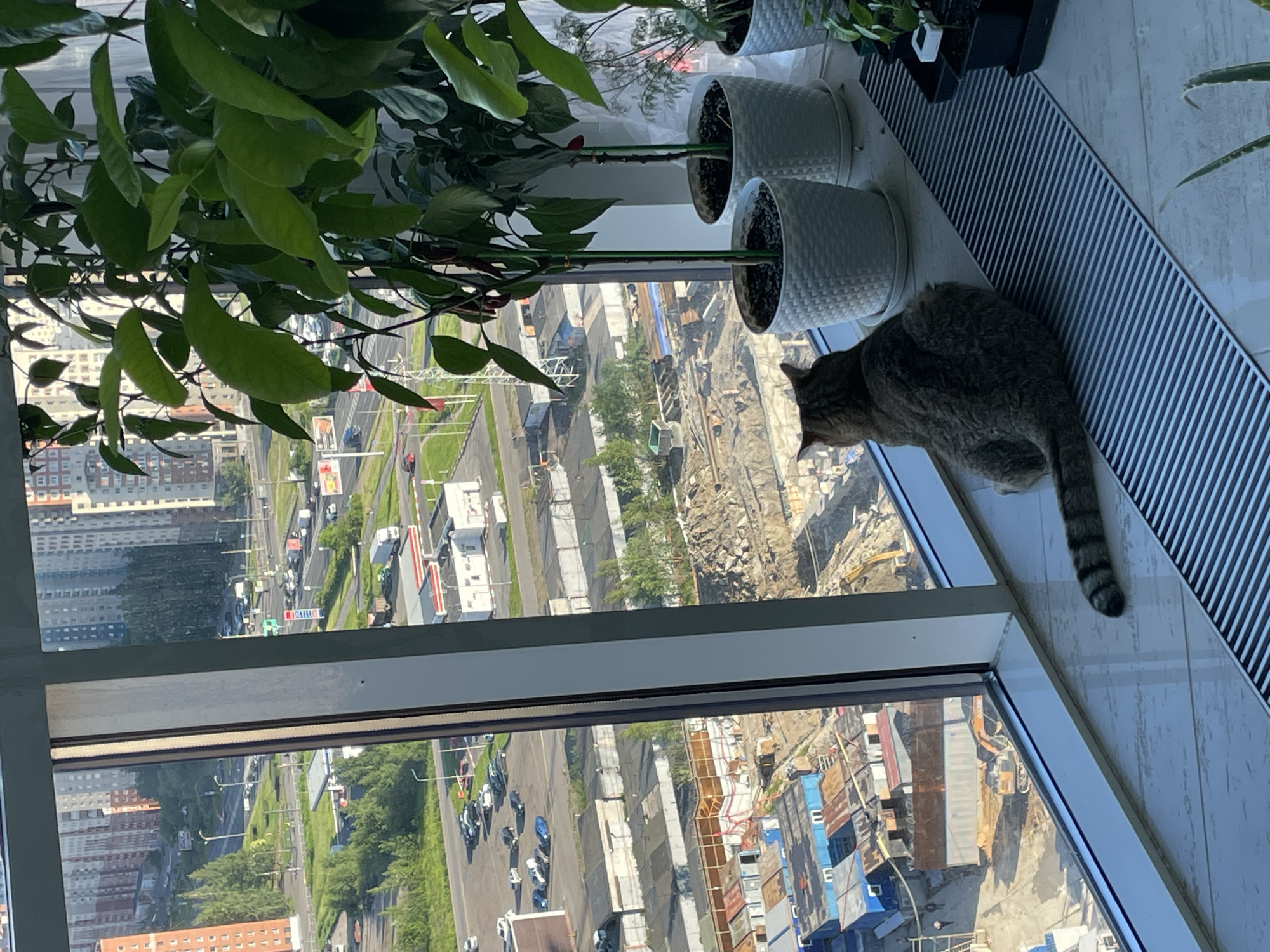 The image depicts an elevated interior perspective looking out a large window onto an urban landscape in the city of Unknown, Russia. A domestic shorthair tabby cat, with brown-grey striped fur, is seated on a light-colored tiled floor, facing away from the viewer and intently observing the exterior scene through the window. A long, grey slatted floor grate runs parallel to the window in the foreground. To the right, on a window sill, are several potted plants, including larger specimens with broad green leaves in white, textured pots, and smaller seedlings in black trays.
Outside the window, an active construction site occupies the immediate foreground, characterized by excavated earth, piles of rock and soil, visible heavy machinery such as excavators, and numerous temporary structures composed of blue and rust-colored metal shipping containers. Beyond the construction, a network of roads is visible, populated by various cars and trucks. A gas station, identifiable by its red and white branding, is situated adjacent to the road, alongside low-rise commercial or industrial buildings. The background is composed of a dense array of multi-story residential and commercial buildings, interspersed with areas of green foliage, under bright daylight conditions.