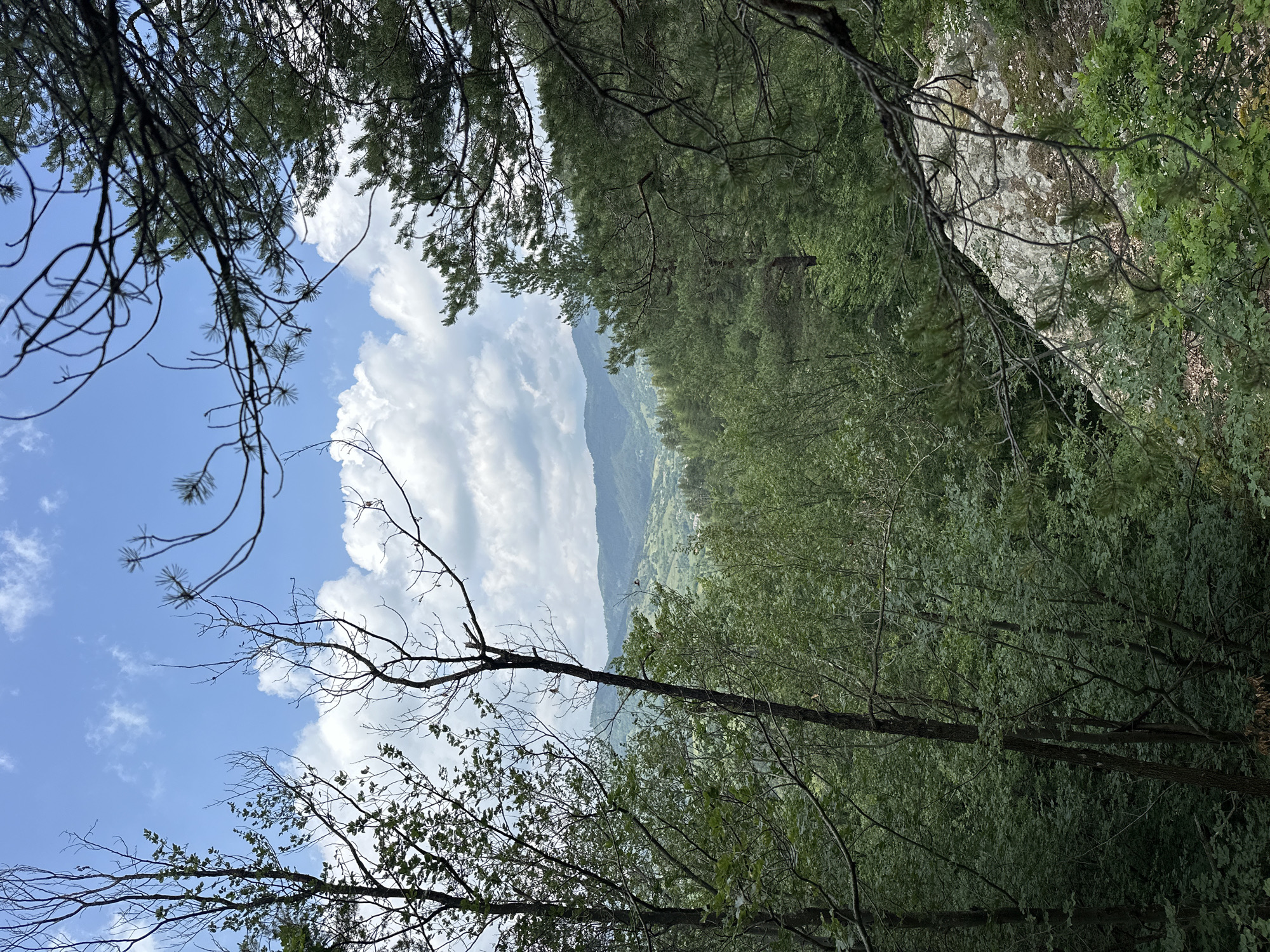This landscape photograph, oriented correctly, captures a serene view of a mountainous forest, likely in Chubrika, Bulgaria. The upper portion of the frame features a bright blue sky adorned with scattered, fluffy white clouds. Dark, slender tree branches, some with green pine needles and others bare, gracefully frame the top of the scene and extend into the foreground, suggesting the viewer is situated within the canopy.
The mid-ground is dominated by a dense expanse of verdant foliage, forming a thick forest canopy that stretches across much of the right side of the image and descends into the distant valley. Within this green tapestry, a large, light-colored rock or cliff face is partially visible on the far right, hinting at rugged terrain. In the background, below the forest line, a series of hazy, blue-grey mountains or hills rise, their peaks softened by atmospheric distance, indicating an expansive and undulating landscape.
The scene is brightly illuminated by natural daylight, suggesting a clear day, likely in the late morning or early afternoon, with fair weather conditions. There are no visible people, animals, or man-made structures, emphasizing the untouched and natural character of the environment. The image conveys a sense of tranquility, natural beauty, and the quiet grandeur of a mountain forest. No visible text is present.