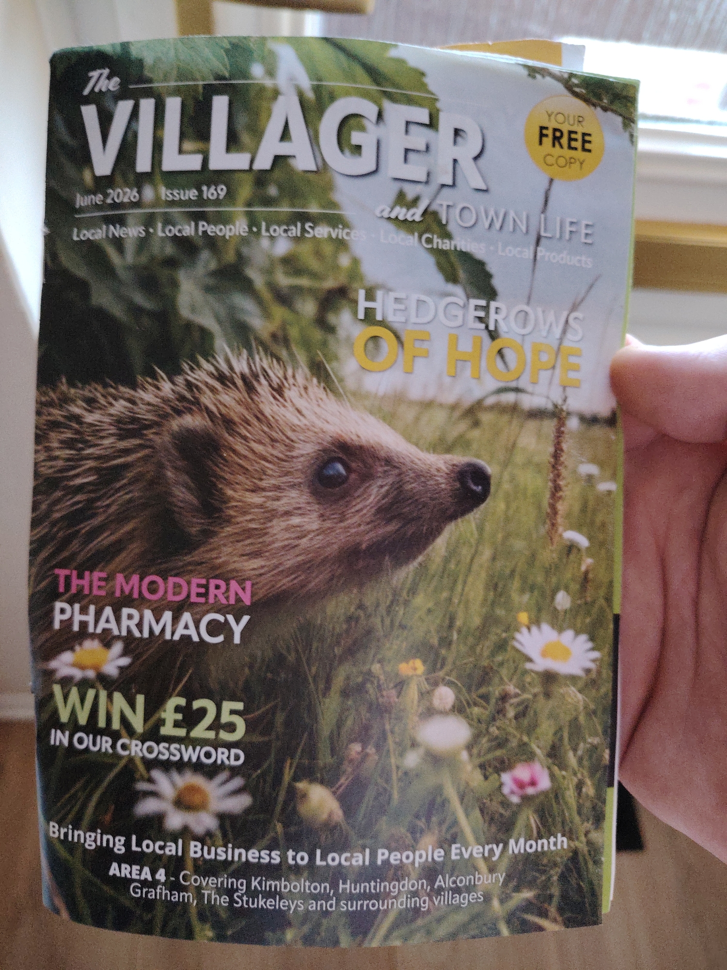 The image is a close-up of the front cover of "The Villager" magazine, dated June 2026, issue 169. The cover features a close-up photograph of a hedgehog in a grassy field with daisies. Prominently displayed at the top is the magazine title "The VILLAGER" in large white letters, followed by "and TOWN LIFE". Below this, smaller text reads "Local News - Local People - Local Services - Local Charities - Local Products". A yellow circle on the right side of the cover contains the text "YOUR FREE COPY". In the lower half of the cover, the text "HEDGEROWS OF HOPE" is visible in large yellow letters. Further down, "THE MODERN PHARMACY" is written in pink and white text. Below that, "WIN £25 IN OUR CROSSWORD" is displayed in large white letters. At the very bottom, the tagline "Bringing Local Business to Local People Every Month" is followed by "AREA 4 - Covering Kimbolton, Huntingdon, Alconbury, Grafham, The Stukeleys and surrounding villages". The magazine is being held by a person's hand, partially visible on the right edge of the image. The background appears to be a windowsill or a similar indoor setting with a faint view of a window. The specific location mentioned on the magazine cover is Huntingdon, United Kingdom.