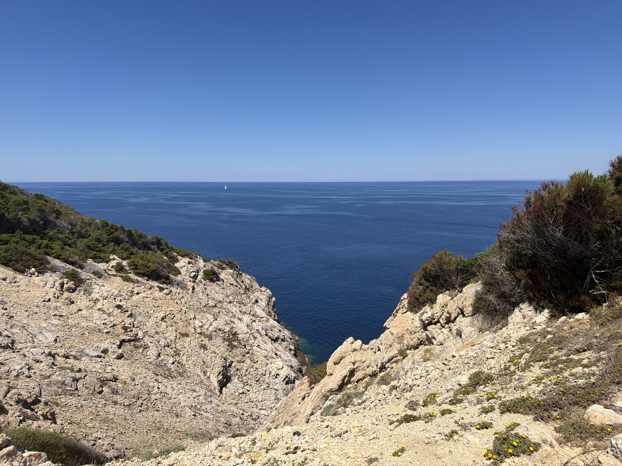 The image depicts a rocky cliffside view overlooking the Mediterranean Sea. The scene is taken from Capdepera, Spain. Two rocky promontories frame the view, descending towards the sea. The promontory on the left is covered with sparse green vegetation. The promontory on the right is also rocky, with some green shrubs and small yellow flowers on the lower slopes. The sea is a deep blue, stretching to the horizon under a clear, light blue sky. A single sailboat is visible in the distance on the water. The lighting suggests a sunny day.
