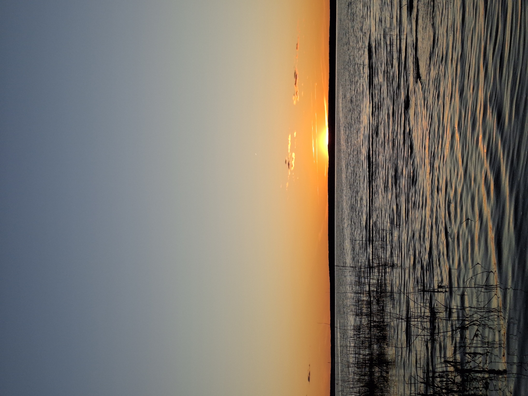 The image depicts a sunset over water. The sky transitions from a dark blue on the left to a gradient of orange and yellow as it approaches the horizon. The sun is visible on the horizon, partially obscured by a few small clouds. To the right of the horizon line, water occupies the frame. The water's surface is disturbed, with ripples and waves reflecting the colors of the sunset. Silhouetted reeds or vegetation are visible near the bottom edge of the water. The location is Plishkino, Russia.