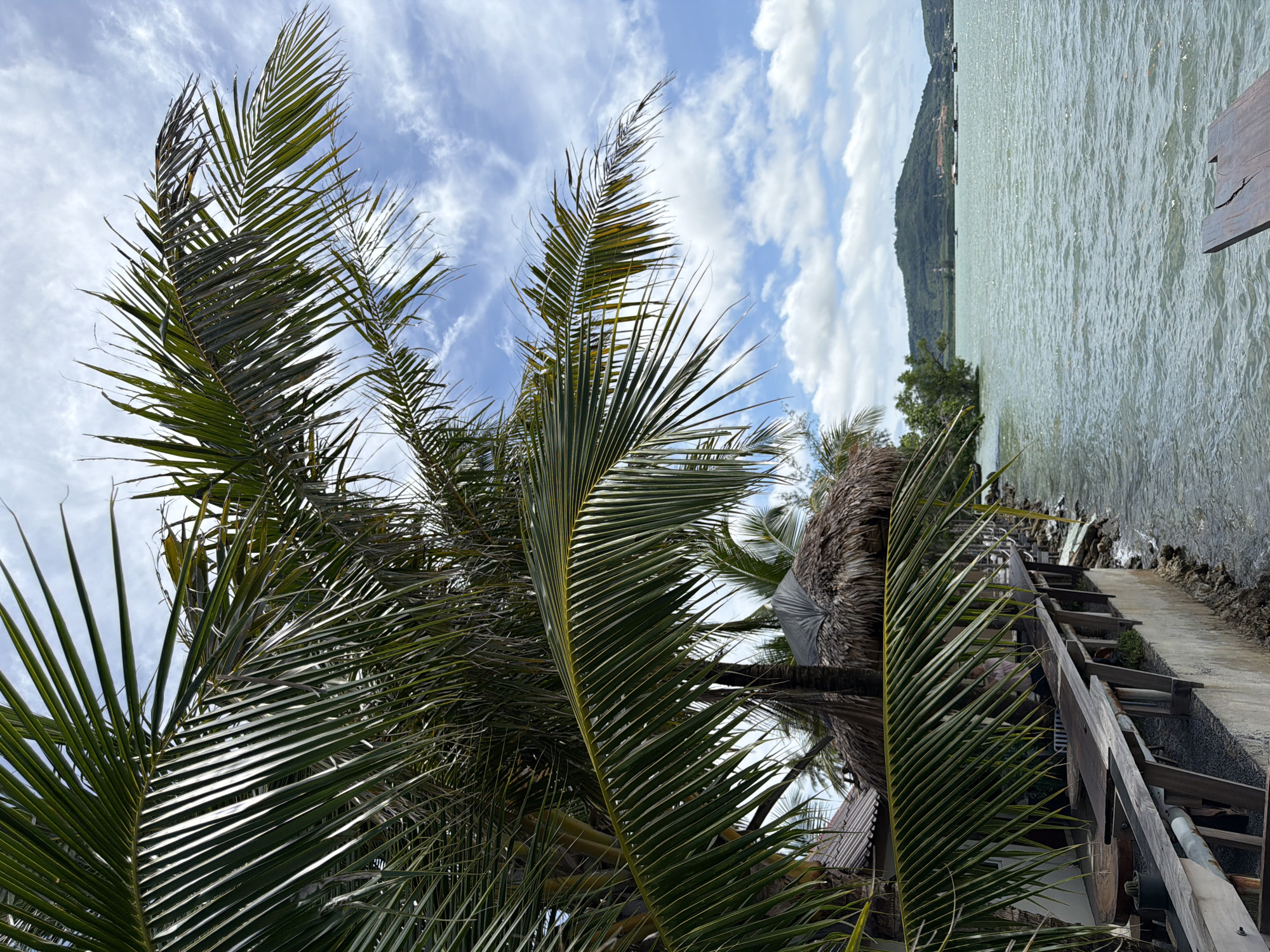 This is a vertical, eye-level, outdoor shot of a tropical scene. In the foreground, the fronds of a palm tree dominate the left side of the image, obscuring the sky. Behind the palm fronds, a rustic wooden deck area extends along the edge of the water. On the deck, there are wooden tables and chairs, and a thatched-roof structure. The water in the middle ground is a murky green, with small waves lapping at the shore. In the background, a lush green hill rises from the water, with a few buildings visible at its base. The sky is a bright blue, with scattered white clouds. The scene appears to be a beachside cafe or restaurant in a tropical location.