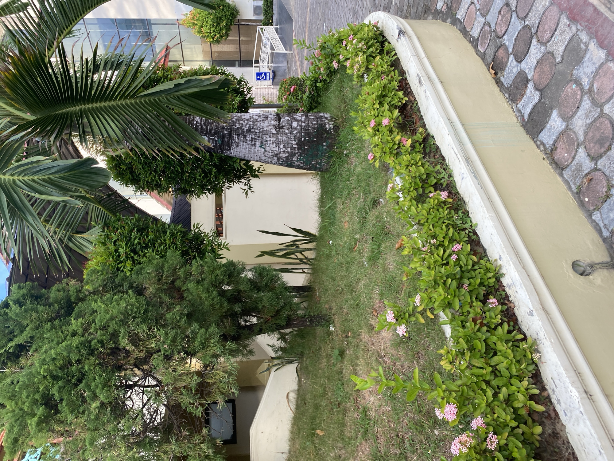 The image depicts a curved planter box filled with green bushes and small pink flowers, bordering a paved walkway. Behind the planter, a grassy area with a young tree and some leafy plants is visible. Further back, a large palm tree stands next to a light-colored building with a modern glass facade. A white ramp with a blue wheelchair accessibility sign is also visible near the building. The scene appears to be an outdoor public space, possibly a park or a garden area within a commercial or institutional complex in Banda Aceh, Indonesia, given the architectural style and vegetation. The lighting suggests it is daytime.