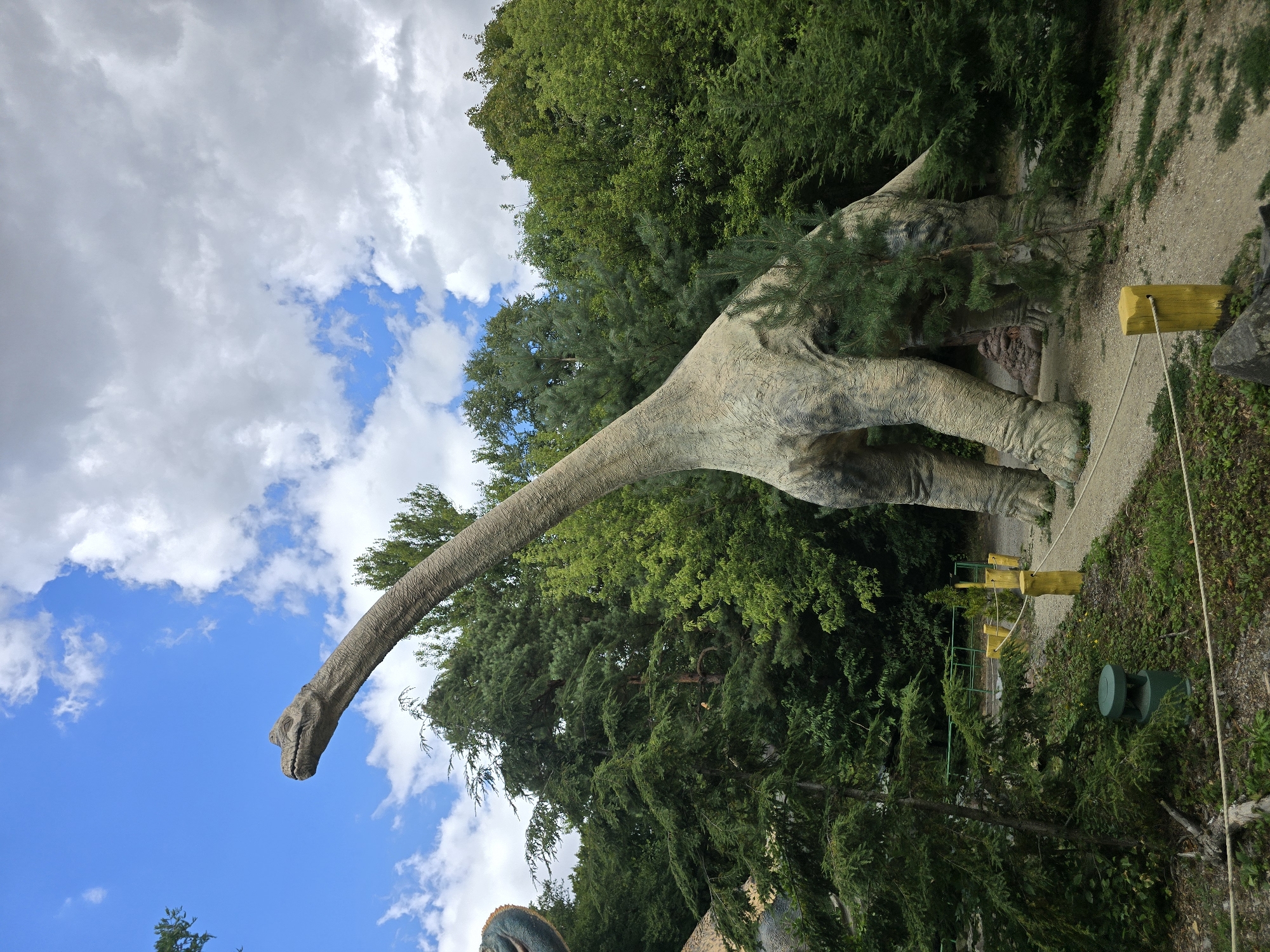 The image shows a large, realistic model of a Brontosaurus dinosaur in a lush, green park-like setting. The dinosaur is a light brown or beige color with textured skin resembling scales. Its long neck is extended upwards and to the left, with its head facing towards the sky. The dinosaur is standing on a sandy path, with its feet visible. Surrounding the dinosaur are numerous tall, green trees and other vegetation. In the background, a blue sky with scattered white clouds is visible. Yellow posts with rope barriers are present along the path, indicating a designated viewing area. A green trash receptacle is also visible on the left side of the path. The scene appears to be an outdoor exhibit at a zoo or dinosaur park. This photograph was taken in the city of Vyškov, Czechia.