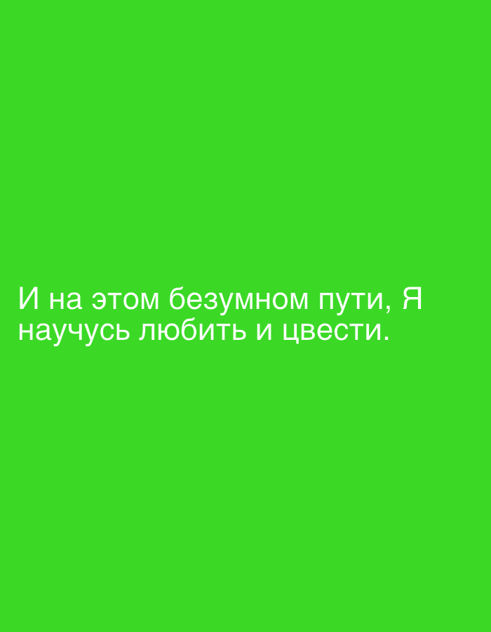 The image is a full-screen, solid bright green background with white text overlaid. The text is in Russian and reads "И на этом безумном пути, Я научусь любить и цвести." This translates to "And on this crazy path, I will learn to love and flourish." There are no people, objects, or discernible environmental features in the image, nor is there any indication of a specific location in Novokuznetsk, Russia. The image appears to be a graphic or a meme.