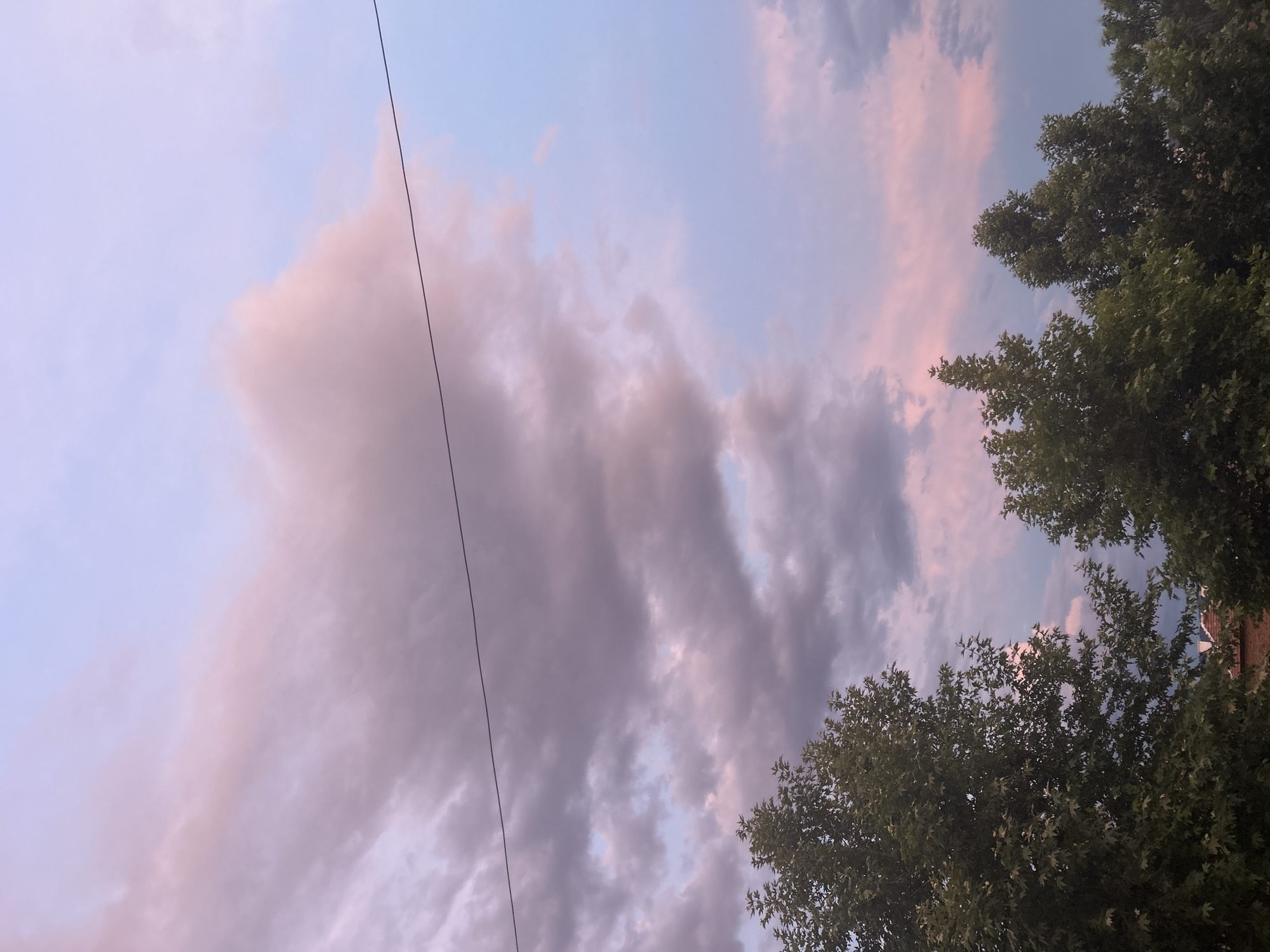 The image depicts a twilight sky with soft hues of pink and purple clouds against a pale blue backdrop. A dark, thin wire stretches horizontally across the upper portion of the frame. In the foreground, the tops of several lush green trees are visible, their leaves obscuring parts of the lower sky and a hint of a reddish-brown roofline. The scene appears to be an outdoor setting, likely a residential area or park, at dusk.
