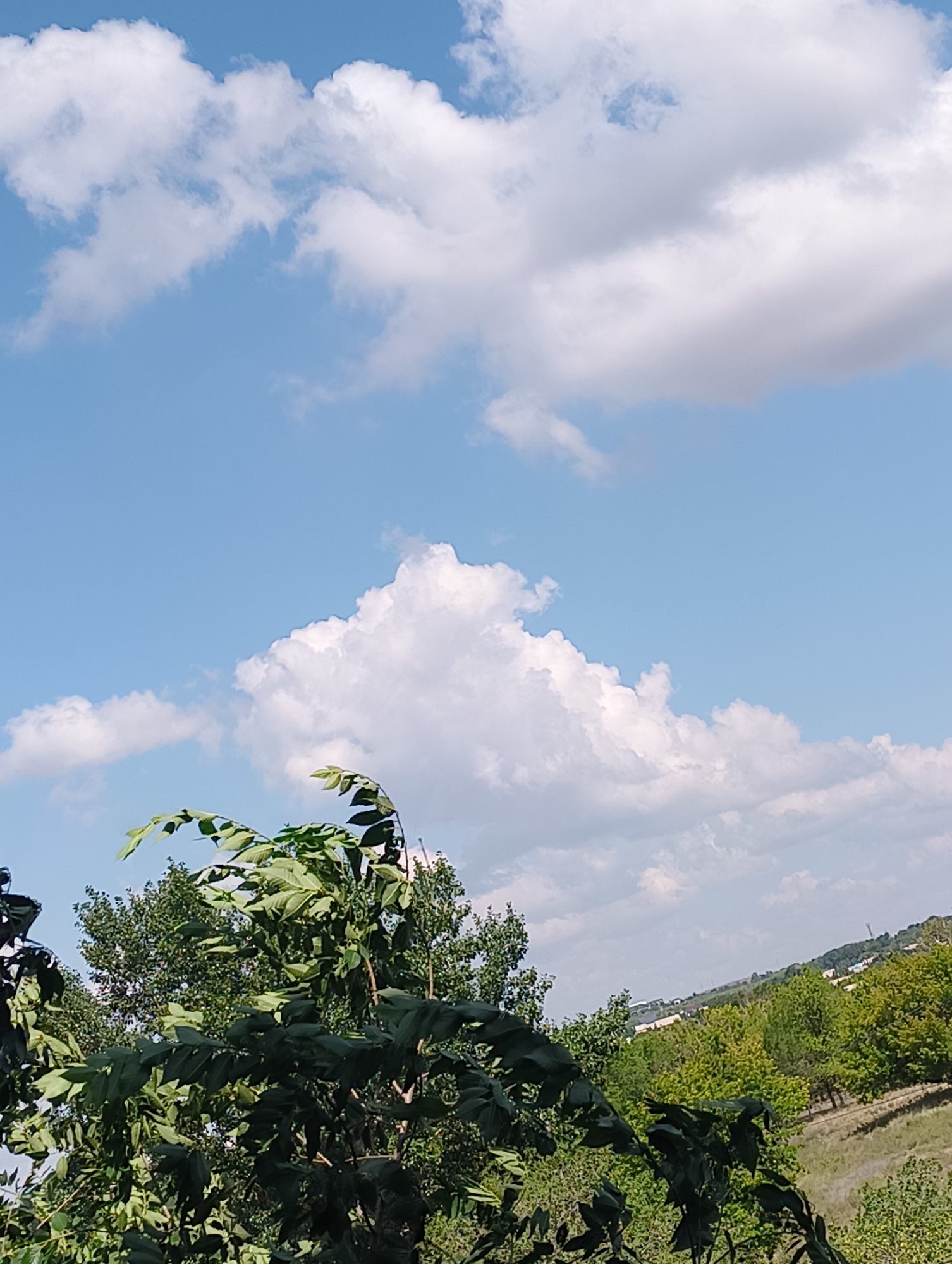 The image depicts a daytime scene with a clear blue sky dotted with fluffy white clouds. In the foreground, lush green foliage from trees partially obscures the view. Behind the trees, a gentle hillside covered in greenery rolls into the distance. A small, scattered settlement with buildings can be observed on the horizon, nestled among the trees. The overall impression is one of a natural landscape on a pleasant day, likely in a suburban or rural area within the city.
