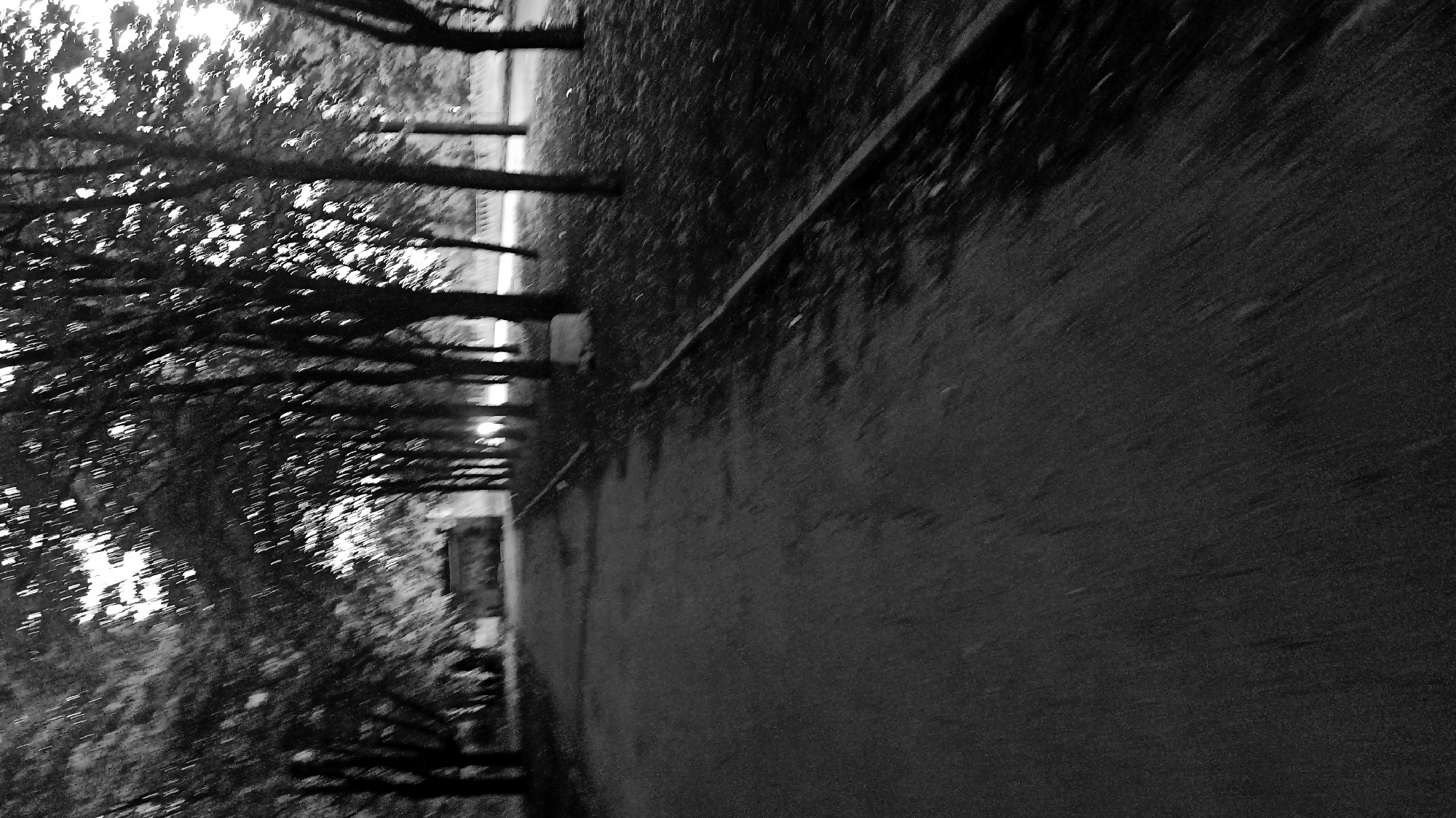 The image depicts an outdoor scene in black and white, showing a paved pathway running diagonally from the lower left to the upper right. The pathway is bordered on the right by a grassy area with scattered trees and fallen leaves. Several trees with bare branches line the path, creating a slightly blurred effect that suggests movement. In the background, there is a low, rectangular structure, possibly a building or wall, partially obscured by the trees. The lighting is dim, indicating it might be dawn, dusk, or an overcast day. The overall impression is one of a quiet, possibly abandoned or unkempt park or walkway.