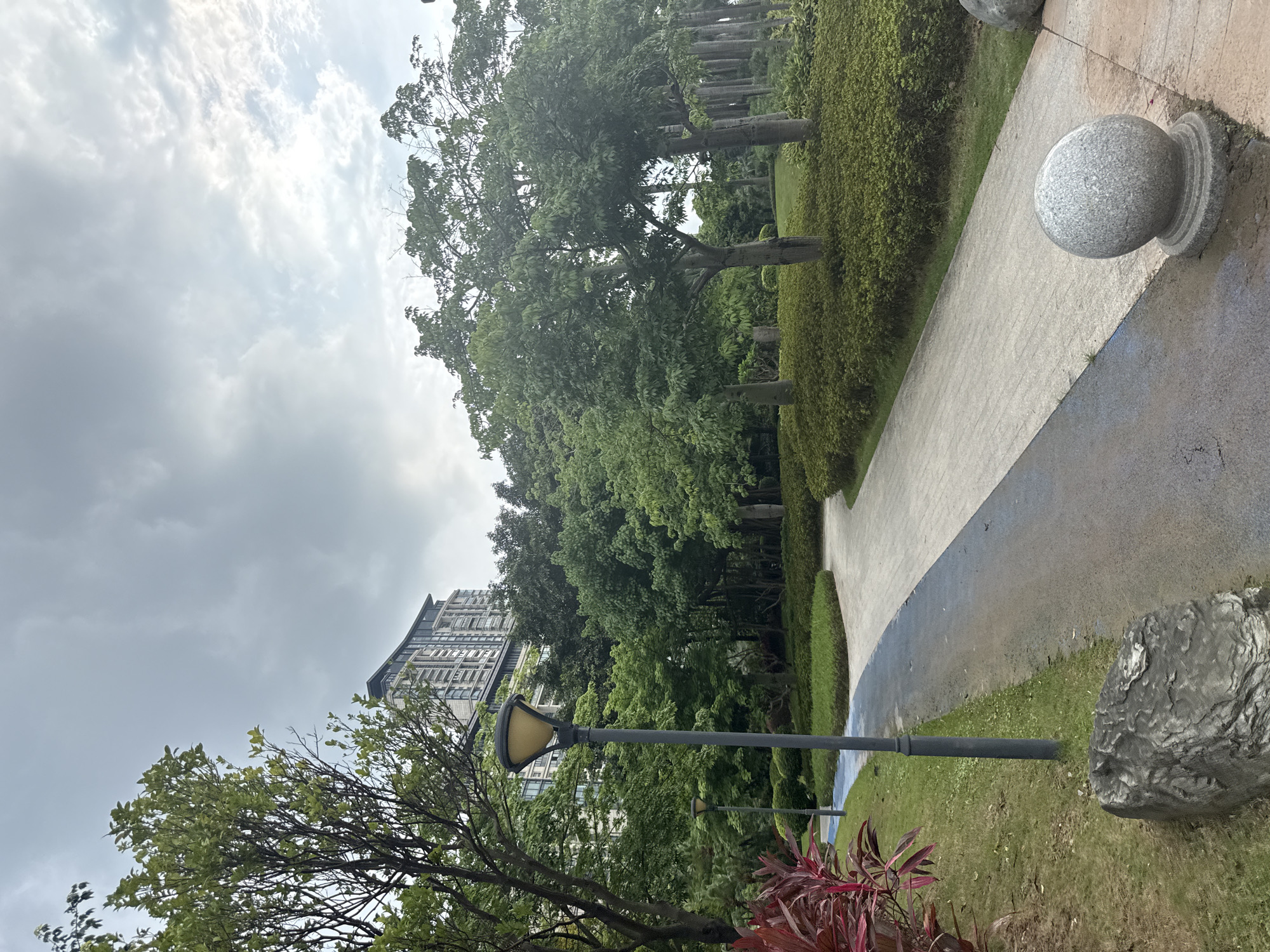 The image captures a paved pathway winding through a lush park in Haizhu District, China. The pathway is a mix of grey concrete and a blue-lined section. To the left of the path, vibrant red-leaved plants and green grass are visible, along with a grey lamppost. Further into the park, a large, rounded grey stone adorns the path's edge. Towering trees with full green canopies dominate the midground and background. Behind the trees, a modern, multi-story building with a distinctive curved roof stands tall, suggesting an urban setting adjacent to the park. The sky is overcast with grey clouds, hinting at a cloudy day. The overall scene depicts a well-maintained urban green space.