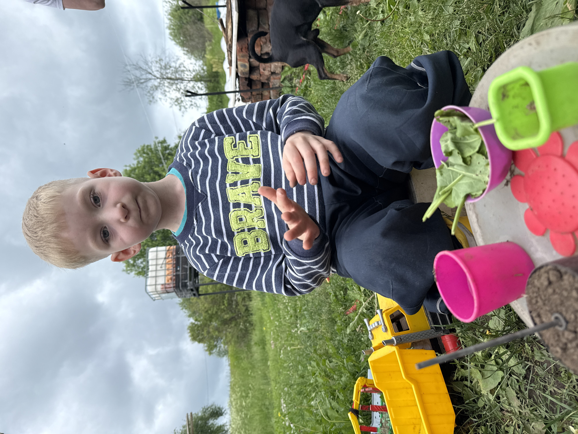 In Nizhnyaya Chermoda, Russia, a young boy with blond hair and blue eyes is seated outdoors in a grassy area. He is wearing a striped long-sleeved shirt with the word "BRAVE" in green lettering on it, and dark blue pants. His hands are positioned in front of him as if gesturing or engaged in an activity. To his left, a yellow toy truck is visible, partially obscured by a pink plastic cup. In front of him, a small purple bowl contains green leafy vegetables. To the right of the bowl, a green plastic container and a red object, possibly a toy, are present. In the background, a black dog stands on the grass near a pile of bricks. The environment suggests a rural or suburban setting with trees, greenery, and overcast sky.