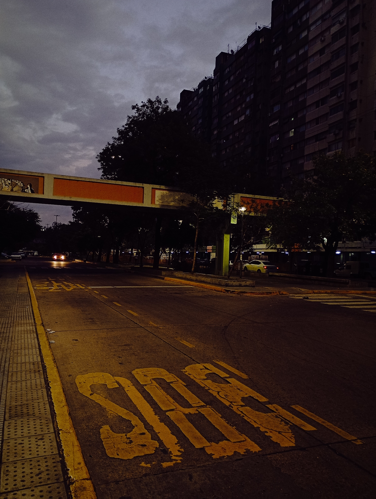 The image depicts an urban street scene at dusk or night in Palermo, Buenos Aires, Argentina, specifically along Avenida del Libertador near the Bosques de Palermo. The sky is heavily overcast with dark gray clouds.
In the foreground, a dark asphalt road occupies the lower portion of the frame. The word "BUS" is painted in faded yellow letters on the road surface, indicating a designated lane. A solid yellow line runs along the left edge of the road, adjacent to a textured, gray tactile paving strip. Faint white dashed lines are visible further down the road, marking lanes.
The midground features a prominent pedestrian overpass spanning the road. This bridge has orange-red underside supports and side panels adorned with murals depicting human figures in a classical style. Multiple dark trees line both sides of the avenue, partially obscuring the view. Two vehicles are visible in the distance, approaching from the left, with their headlights illuminated. To the right, a white sedan is parked or moving slowly on a side access road, illuminated by a bright, warm-toned streetlight with a greenish-yellow cast. A white-striped crosswalk is partially visible on the far right.
In the background, a tall, multi-story building with numerous windows, some faintly illuminated, stands prominently on the right, appearing dark against the dim sky. Antennas or structures are visible on its roofline. No individuals are discernible in the scene.
