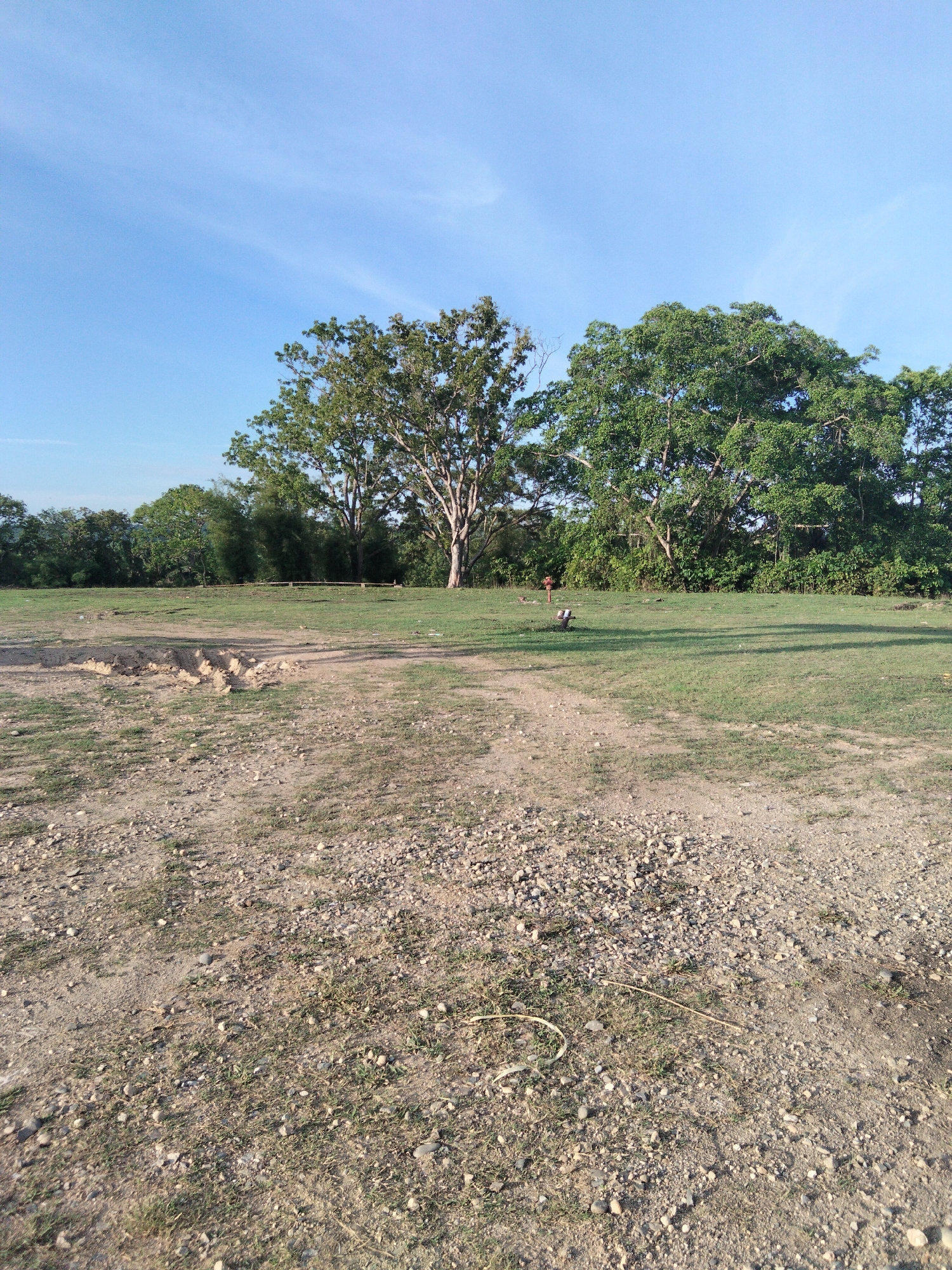The image depicts an outdoor scene in Sukaramai Dua, Indonesia, under a clear blue sky with a few wispy clouds. The time of day appears to be late afternoon or early evening, as evidenced by the soft, warm lighting and long shadows cast across the grassy area.
The foreground is dominated by a dusty, gravelly patch of ground with sparse patches of dry grass. A small, shallow excavation is visible on the left side of this area. Beyond this, a well-maintained grassy field stretches towards a line of lush green trees in the mid-ground.
Dominating the background are several large, mature trees with dense green foliage. The tree on the far right is particularly imposing with its broad canopy. Between these large trees and the foreground, a low wooden structure, possibly a bench or a simple barrier, is faintly visible amidst the greenery. A small object, possibly a piece of equipment or debris, sits on the grass in the mid-ground.
The overall impression is one of a serene, natural landscape, possibly a park or an open field on the outskirts of a populated area. The weather is fair and calm. No people are visible in the frame, and there is no visible text. The scene evokes a sense of peace and tranquility, with the natural elements taking center stage.