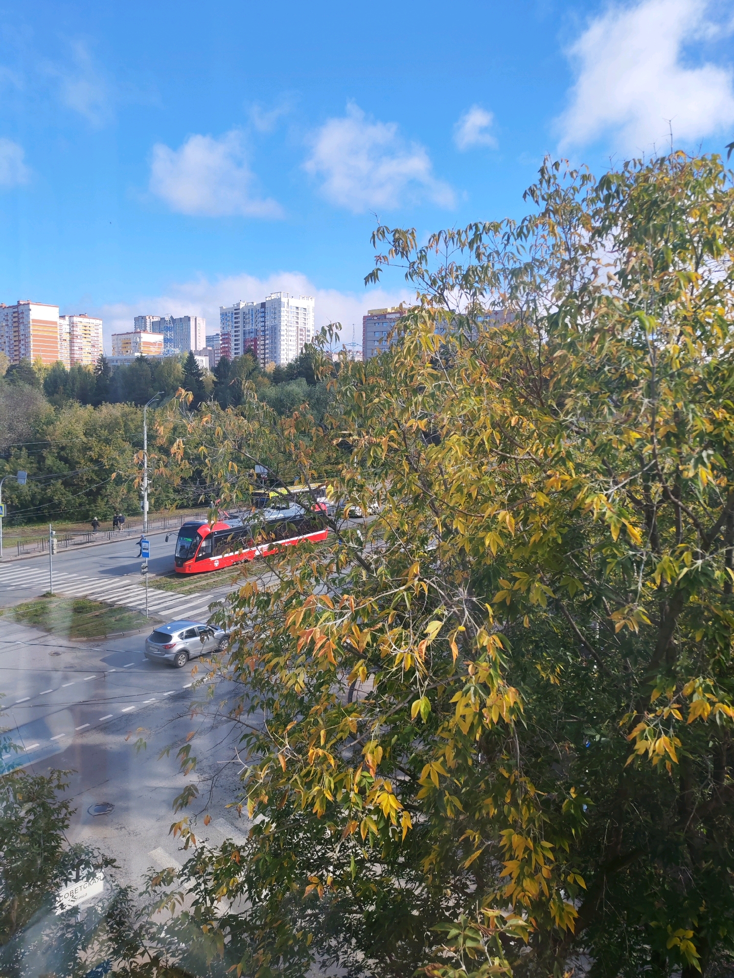 This image captures an outdoor scene in Izhevsk, Russia, on a bright, partly cloudy day, likely in autumn given the foliage. In the foreground, a large tree with green and yellowing leaves partially obstructs the view. In the midground, a street runs horizontally across the frame. A red and black tram is stopped at a pedestrian crossing on the street, facing right. A silver car is also on the street, to the left of the tram, and appears to be moving away from the viewer. Behind the street, there is a dense line of green trees and further back, several multi-story apartment buildings are visible against a blue sky with scattered white clouds. The street appears wet, possibly from recent rain. A street sign with Cyrillic text is partially visible at the bottom left of the image.