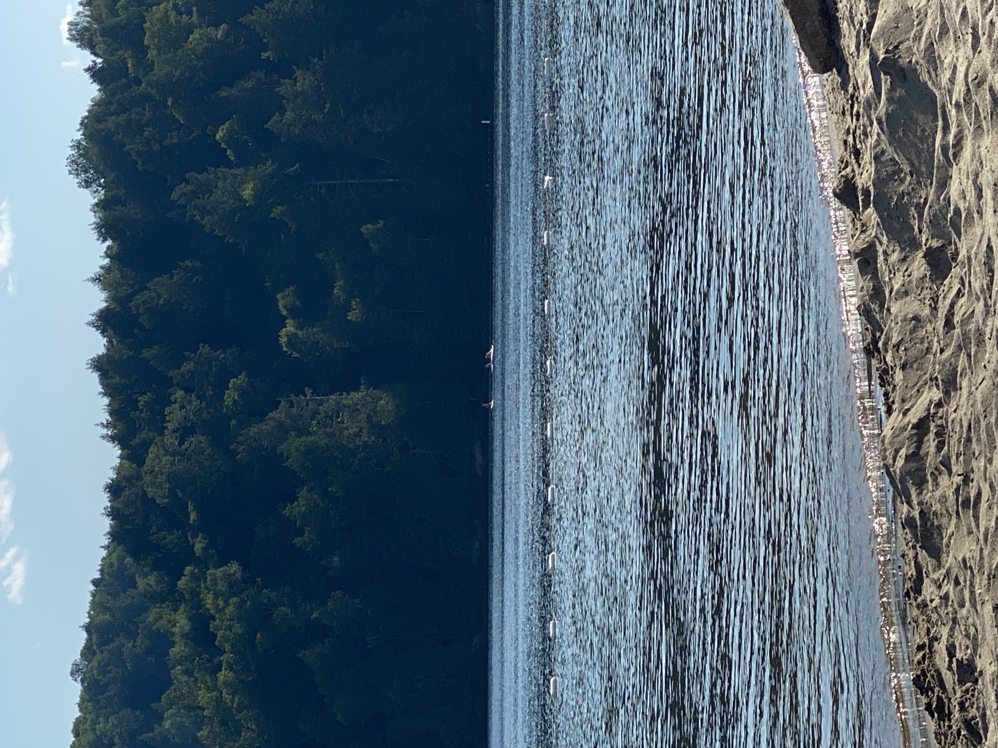 The image depicts a serene lakeside scene with a sandy beach in the foreground. The lake stretches out towards a densely wooded shoreline, with the dark green of the trees contrasting against the bright blue sky. In the distance, on the lake, several people appear to be paddleboarding. A line of white buoys marks a designated area on the water, with a single white pole visible further out. The water exhibits small ripples, indicating a gentle breeze. The beach itself is composed of light brown sand, with several small mounds and some scattered pebbles.