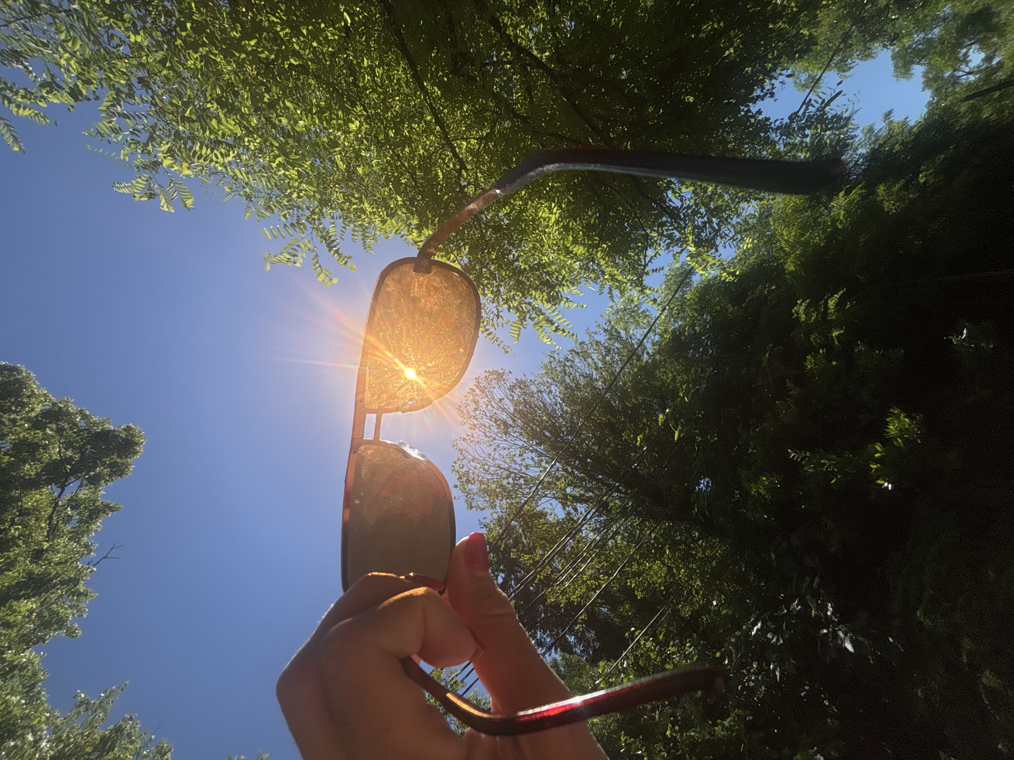 A first-person perspective shot looks up at sunglasses held in a hand against a bright blue sky. The sun is visible through the lenses of the sunglasses, creating a lens flare effect. Green trees with dense foliage frame the top and sides of the image. Power lines are visible in the background, strung between poles. The overall impression is of a sunny day outdoors, possibly in a park or a wooded area. The location in Sochi, Russia, cannot be determined from the visual information provided in the image.