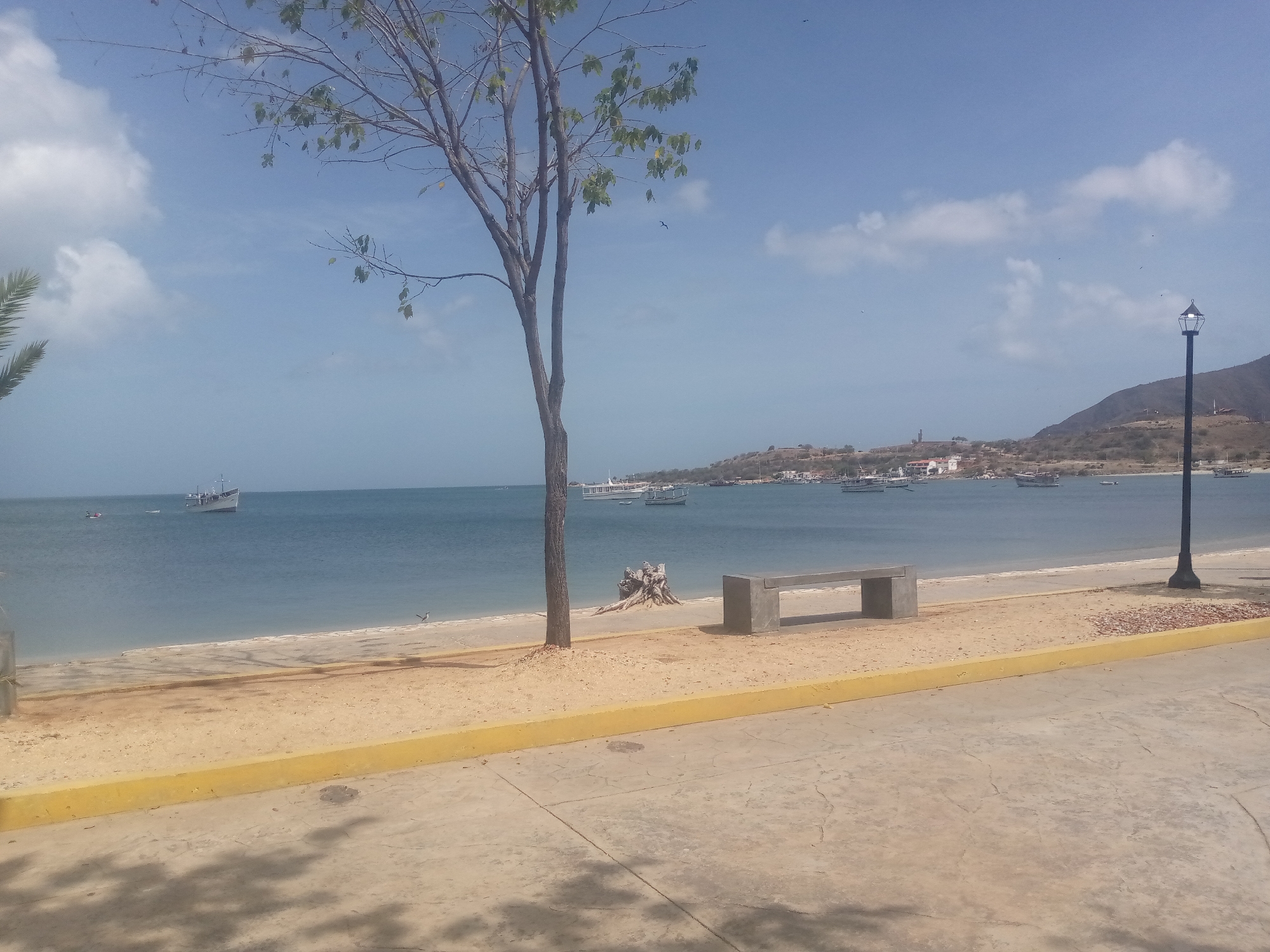 The image depicts a serene coastal scene on a bright, sunny day. In the foreground, a concrete pathway with a yellow curb borders a sandy beach. A single, bare tree stands on the beach, its branches reaching towards the sky. To the right of the tree, a simple concrete bench offers a place to rest. Beyond the beach, a calm, blue ocean stretches to the horizon. Several boats, ranging from small fishing vessels to larger ships, are anchored or sailing on the water. In the distance, a hilly coastline is dotted with buildings and a lighthouse, suggesting a populated area. A street lamp stands tall on the right side of the image, overlooking the bay. The weather appears clear with scattered white clouds in a vibrant blue sky, indicating it's likely late morning or early afternoon. No people are explicitly visible, and there is no text present in the image. The overall mood is peaceful and tranquil, capturing a quiet moment by the sea.