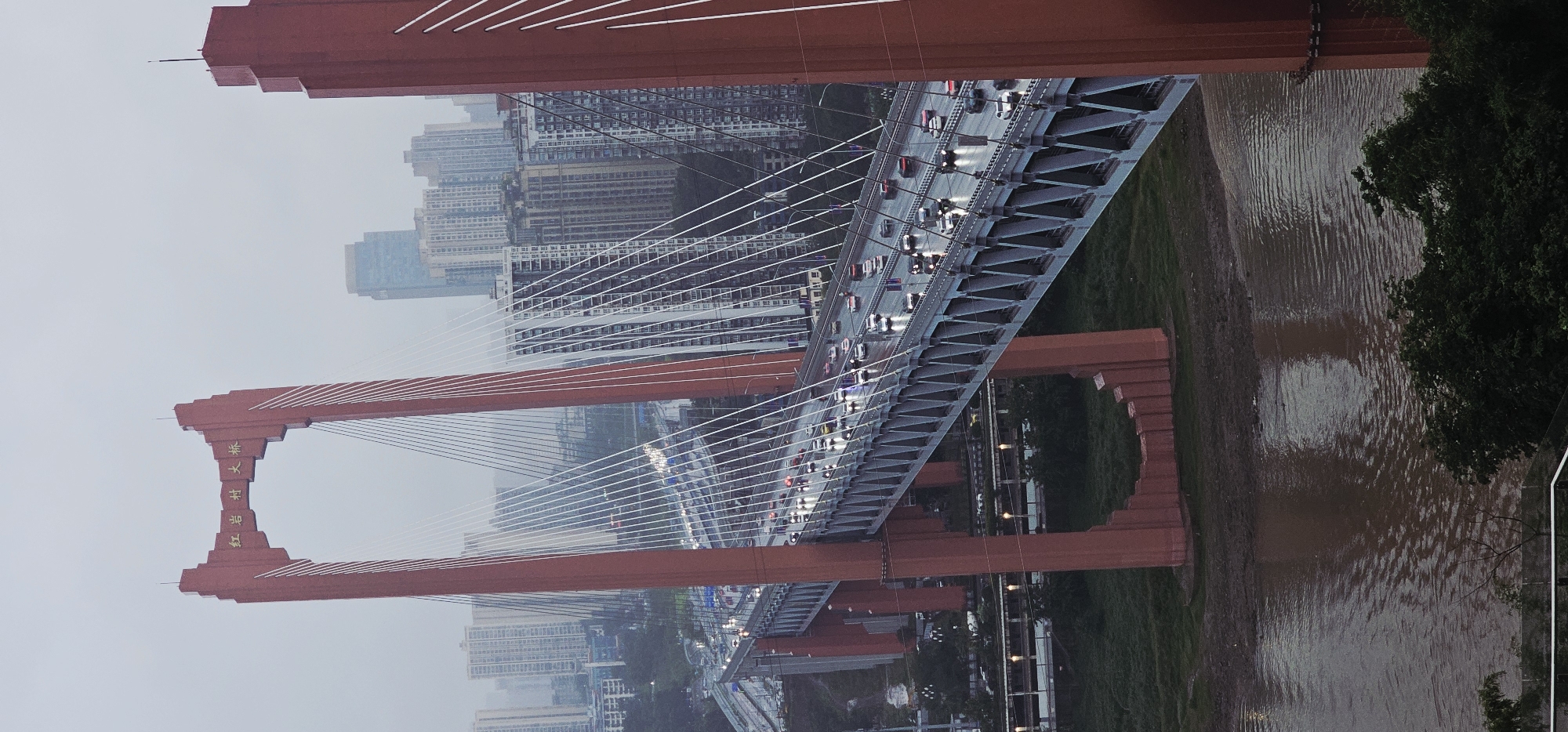 The image depicts the Hongyancun Bridge (红岩村大桥) in Yuzhong District, China, under an overcast sky. The prominent red, inverted U-shaped cable-stayed bridge features multiple white cables extending from its two main towers to support the wide, multi-lane deck. Numerous vehicles are visible on the bridge deck, traveling in both directions, with some headlights illuminated, reflecting off the wet road surface. Below the bridge, a brown river flows, with muddy banks featuring sparse green vegetation and some trees. Dense urban development, characterized by numerous high-rise residential and commercial buildings, forms the backdrop on both sides of the river, particularly on the right, where taller structures are visible. The overall scene is characterized by diffused light, consistent with an overcast day or dusk.