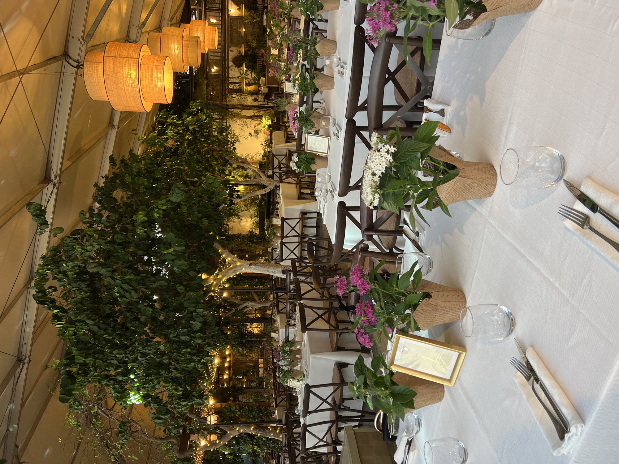 The image depicts a meticulously set outdoor dining area under a tent, likely for an event. The scene is located in Beit Hanan, Israel. White tablecloths cover several round tables, each adorned with place settings of silverware, napkins, and glassware. Small potted plants with pink and white flowers serve as centerpieces, some accompanied by framed table numbers, such as "1" and "2". Dark wooden chairs with woven seats are arranged around the tables. Lush green trees with dense foliage, illuminated by strings of warm fairy lights and overhead pendant lamps, create a natural and intimate ambiance. The lighting suggests it is evening or dusk. The overall impression is one of an elegantly prepared outdoor venue for a gathering or celebration.