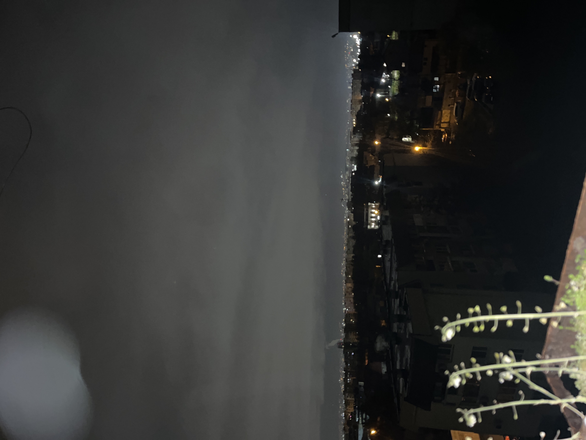 The image depicts a night scene in Sofia, Bulgaria. The view is from a high vantage point, likely a balcony or rooftop. The right side of the frame features plants in the foreground, with buildings and streetlights visible in the distance. A blurred light source is visible in the bottom left. The sky is overcast.