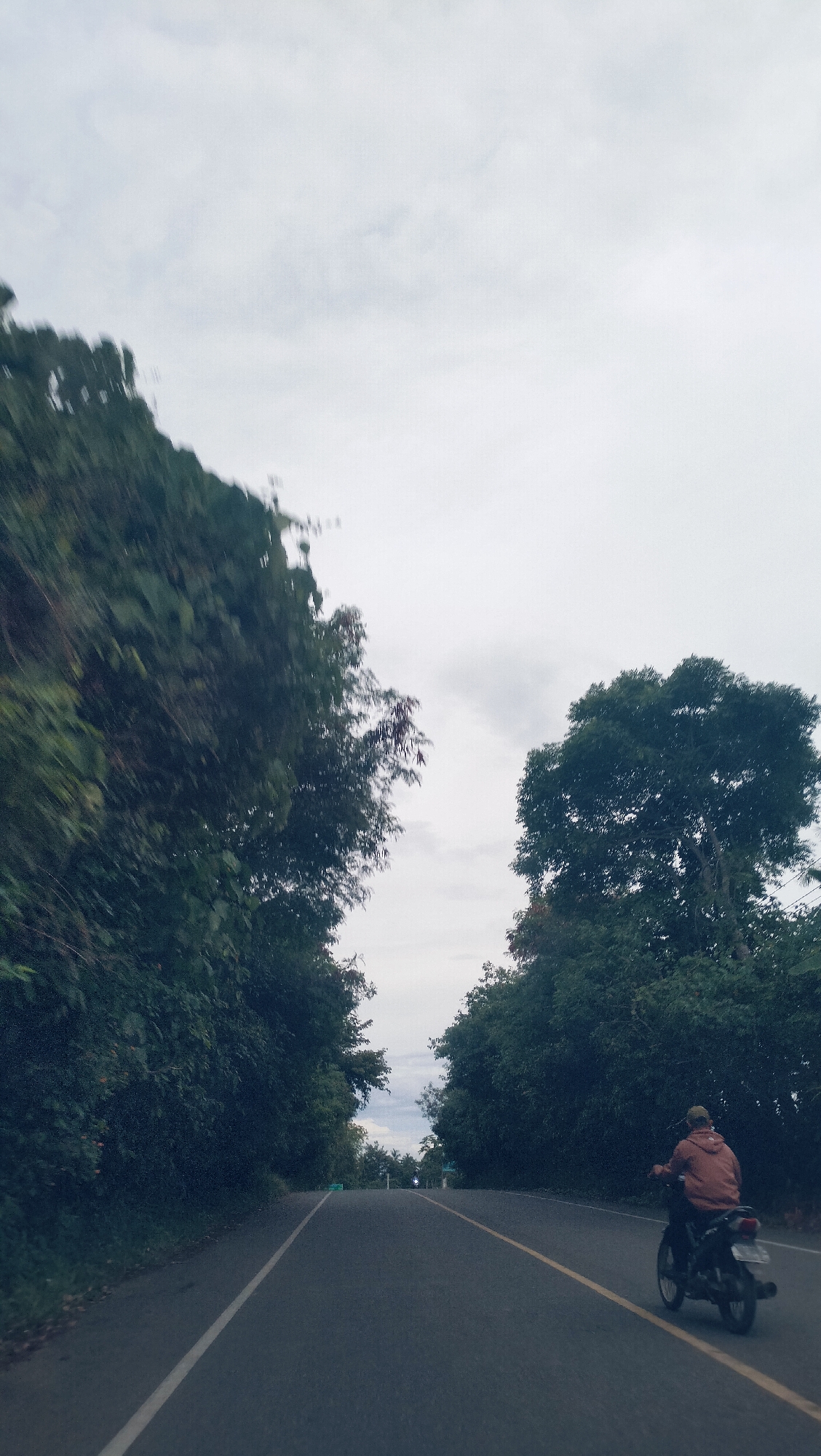The image captures a road scene, likely from a moving vehicle. The primary subject is a person riding a motorcycle, seen from behind, on the right side of a paved road. The rider wears a brownish-orange jacket and a cap. The motorcycle is dark-colored.
The road features a solid white line on the left edge and a dashed yellow line separating traffic lanes, which appears to become solid further down. Dense green foliage and tall trees line both sides of the road, creating a natural green corridor that almost meets above the road in some sections. The trees on the left appear particularly thick and lush.
The sky above is overcast, with soft, diffused lighting, indicating a cloudy day, possibly early morning or late afternoon. No direct sunlight is visible. The road gently curves uphill into the distance, where hints of the horizon and more distant trees can be seen. The overall atmosphere is tranquil and verdant. There is no visible text in the image. The setting suggests a rural or semi-rural area consistent with Payakeureuleh, Indonesia.