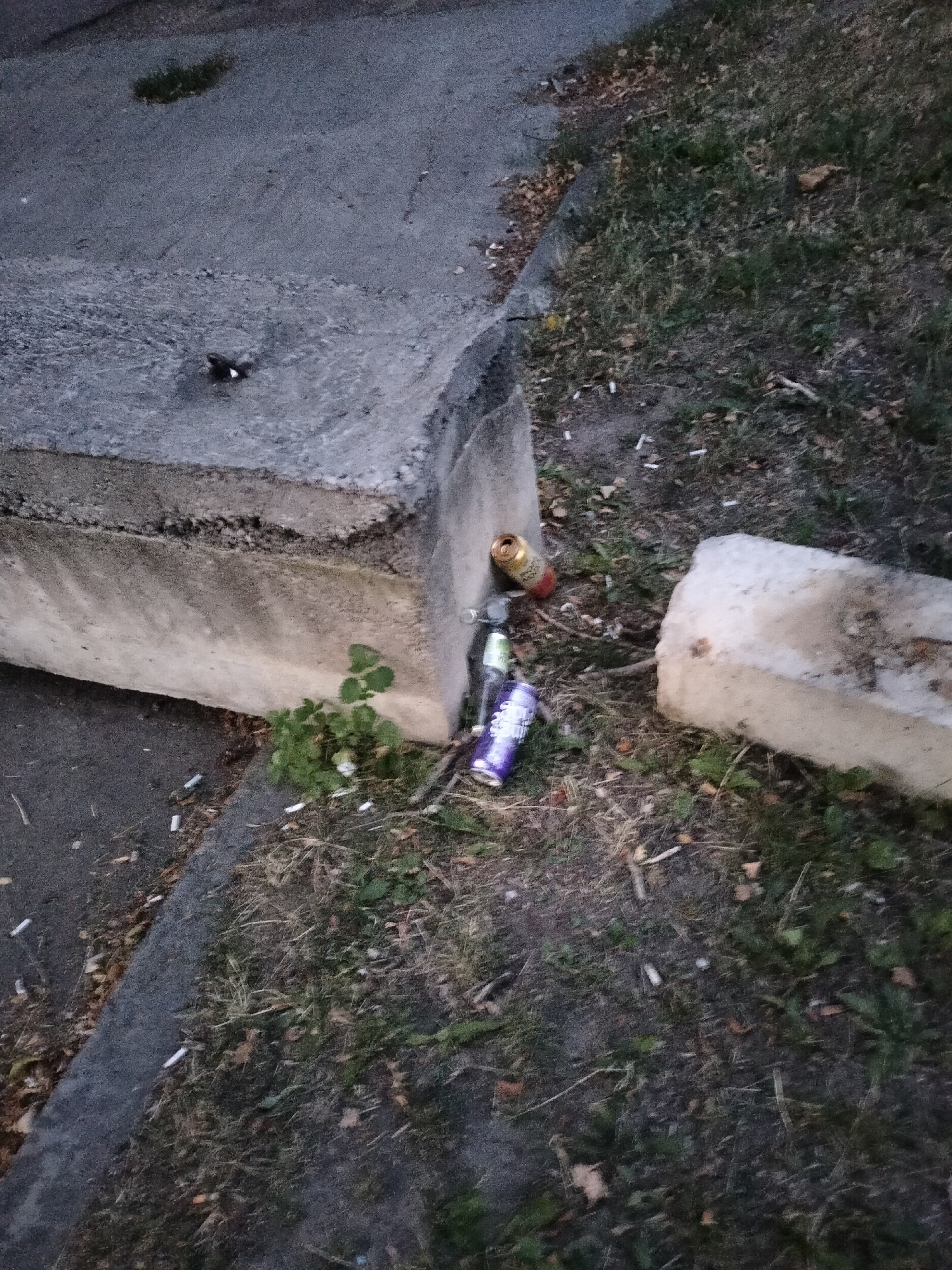 The image depicts an outdoor scene, likely a public space, with two concrete blocks, one larger than the other, situated on a patch of grass and dirt. Several discarded aluminum cans and cigarette butts are scattered on the ground around the blocks. The larger concrete block is positioned on the left side of the frame, partially obscuring the ground and a small patch of green plants. The smaller concrete block is to the right. The lighting suggests it might be dusk or early morning. The presence of litter indicates a lack of proper waste disposal in the area. The scene is consistent with an urban environment, and given the context provided, it is identified as being in Chernihiv, Ukraine.