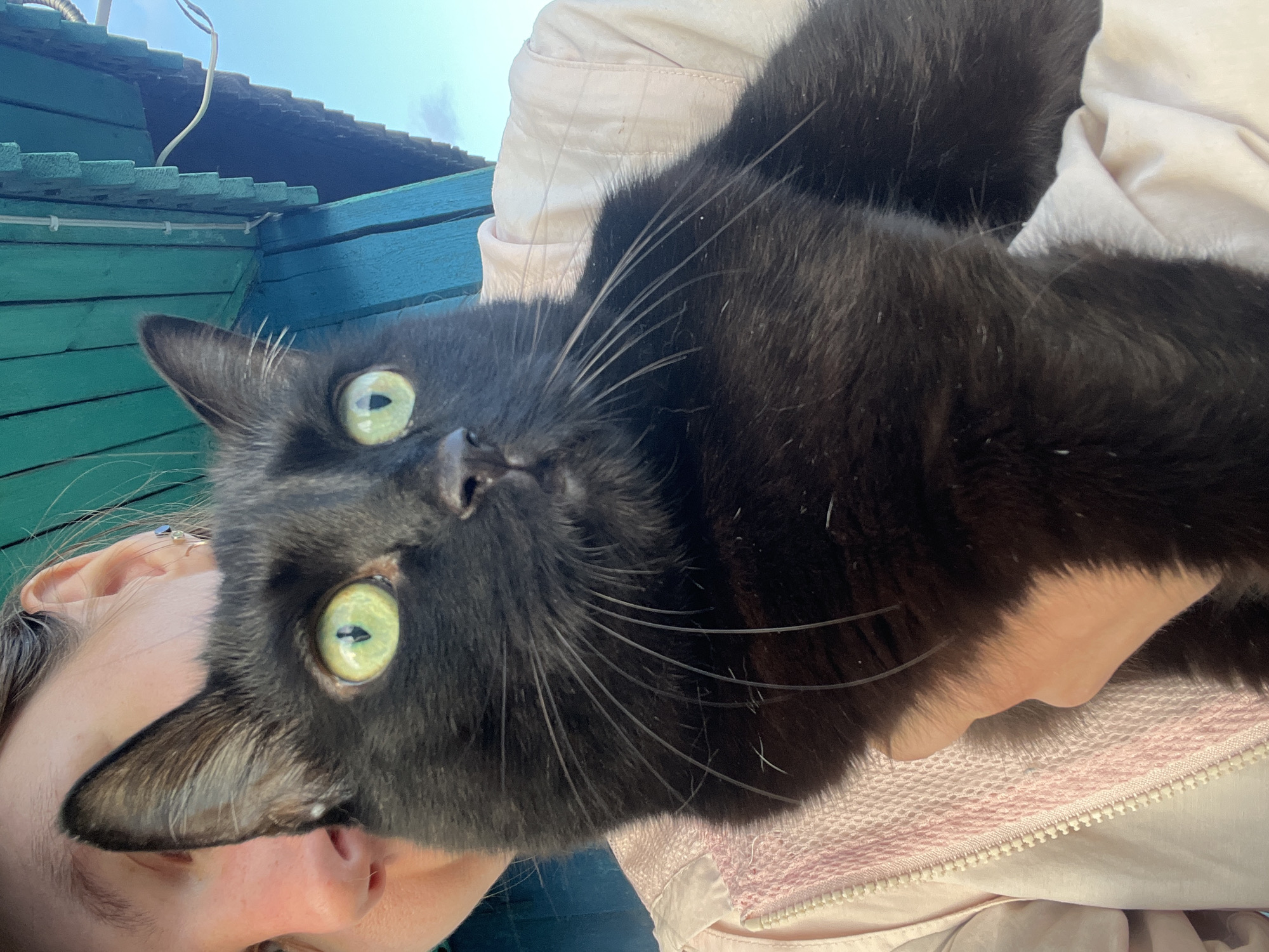 A medium shot shows a person holding a black cat outdoors. The person's face is partially visible on the left, with their mouth and nose in focus. The cat, facing right, has bright green eyes and prominent white whiskers. The cat is nestled against the person's light pink, zippered jacket, which has decorative pink trim. Behind them, a teal-colored wooden structure with white wires attached to it is visible against a bright blue sky. The overall impression is an informal, candid moment between a person and their pet, likely in a rural or semi-rural setting, possibly on a porch or under an overhang, given the architectural elements. The location is not determinable from the image.