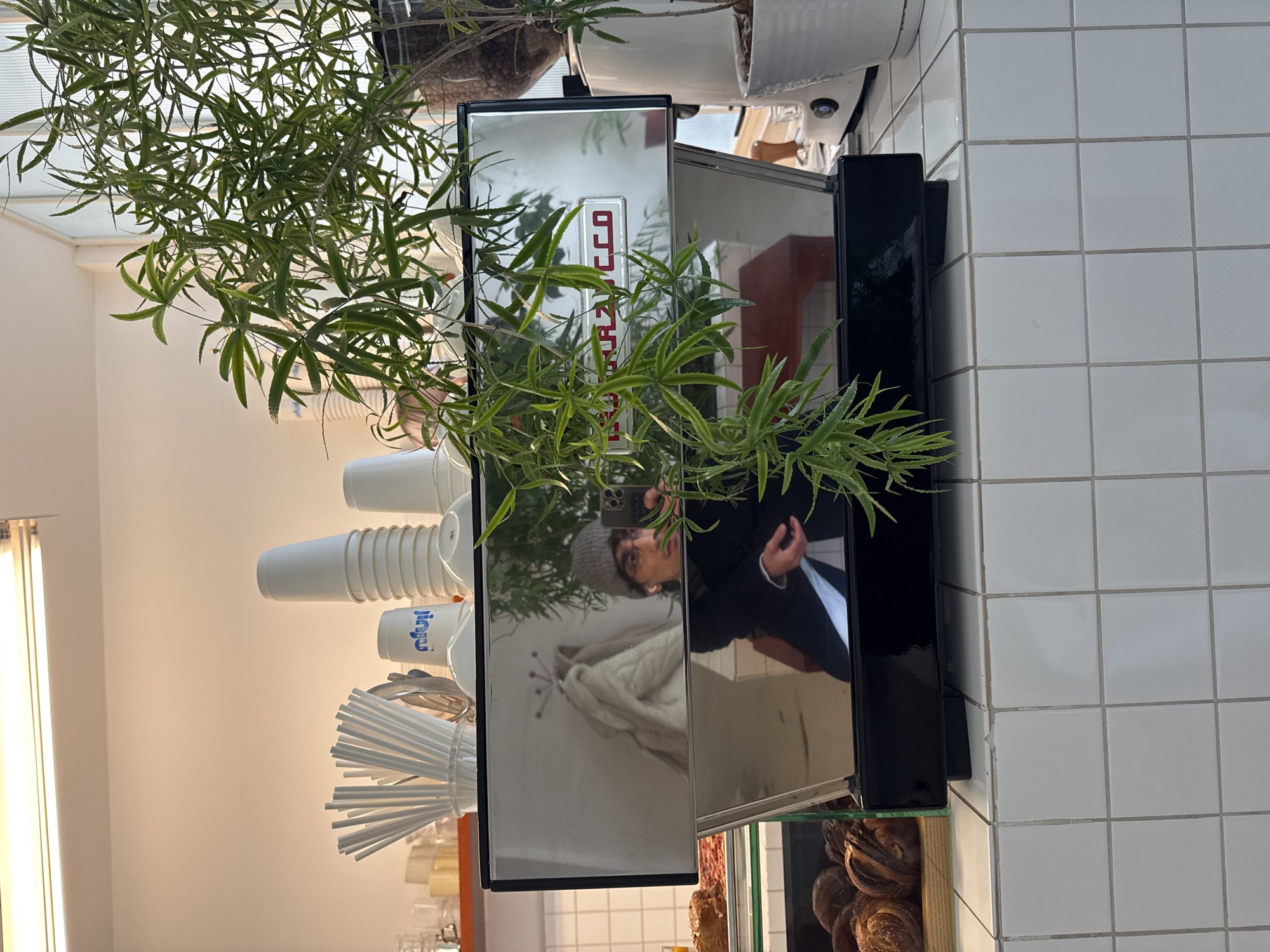 The image depicts an interior scene, possibly a coffee shop or bakery in Moscow, Russia, given the Cyrillic script on the coffee cups. A stainless steel coffee machine, partially obscured by greenery in a pot, reflects a person taking a photo of themselves. The scene includes stacks of white coffee cups, white straws, and pastries displayed beneath the machine. The backdrop features white square tiles on one wall and a neutral-toned wall on the other, illuminated by a fluorescent light.