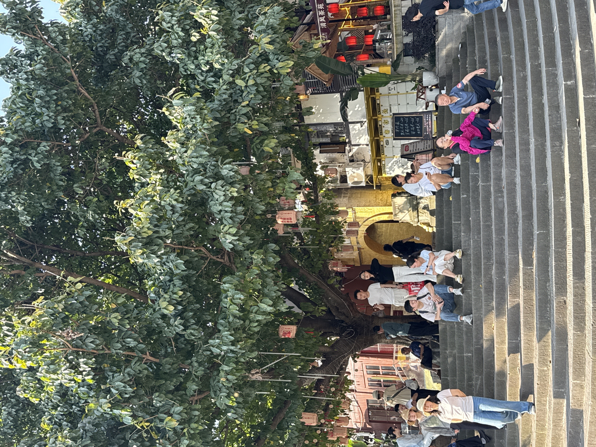 The image depicts a scene in Shapingba District, China. A large tree with dense green foliage dominates the left side of the image. People are sitting on concrete steps that extend diagonally from the upper right to the lower center of the frame. Behind the steps, there are buildings with architectural details including an archway, windows, and lanterns. Signs with Chinese characters are visible on the buildings. The sky is visible in the upper left corner, suggesting an outdoor setting. People are engaging in leisure activities, such as resting and socializing on the steps.