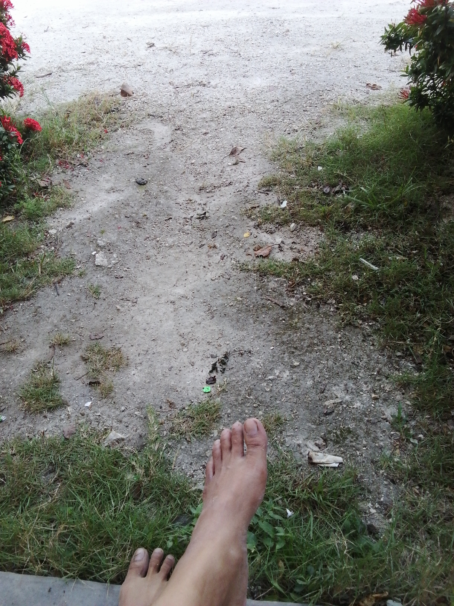 The image depicts a close-up view of a person's bare feet resting on the edge of a concrete surface, with a path and vegetation in the background. The feet are positioned in the lower right quadrant of the image, with the toes of the left foot and a portion of the ankle and calf of the right leg visible. The skin tone is light to medium.
The path is composed of gravel and dirt, with some patches of dry grass and scattered leaves. In the upper left of the image, there is a cluster of vibrant red flowers, likely part of a bush or tree. To the right, the vegetation is predominantly green grass, with some dry patches and scattered debris. The overall environment appears to be outdoors, possibly in a park, garden, or a less maintained urban area. There are no other individuals or distinct landmarks visible that would help pinpoint a specific city or location. The lighting suggests it might be daytime, with diffused light possibly indicating an overcast sky or shade.
