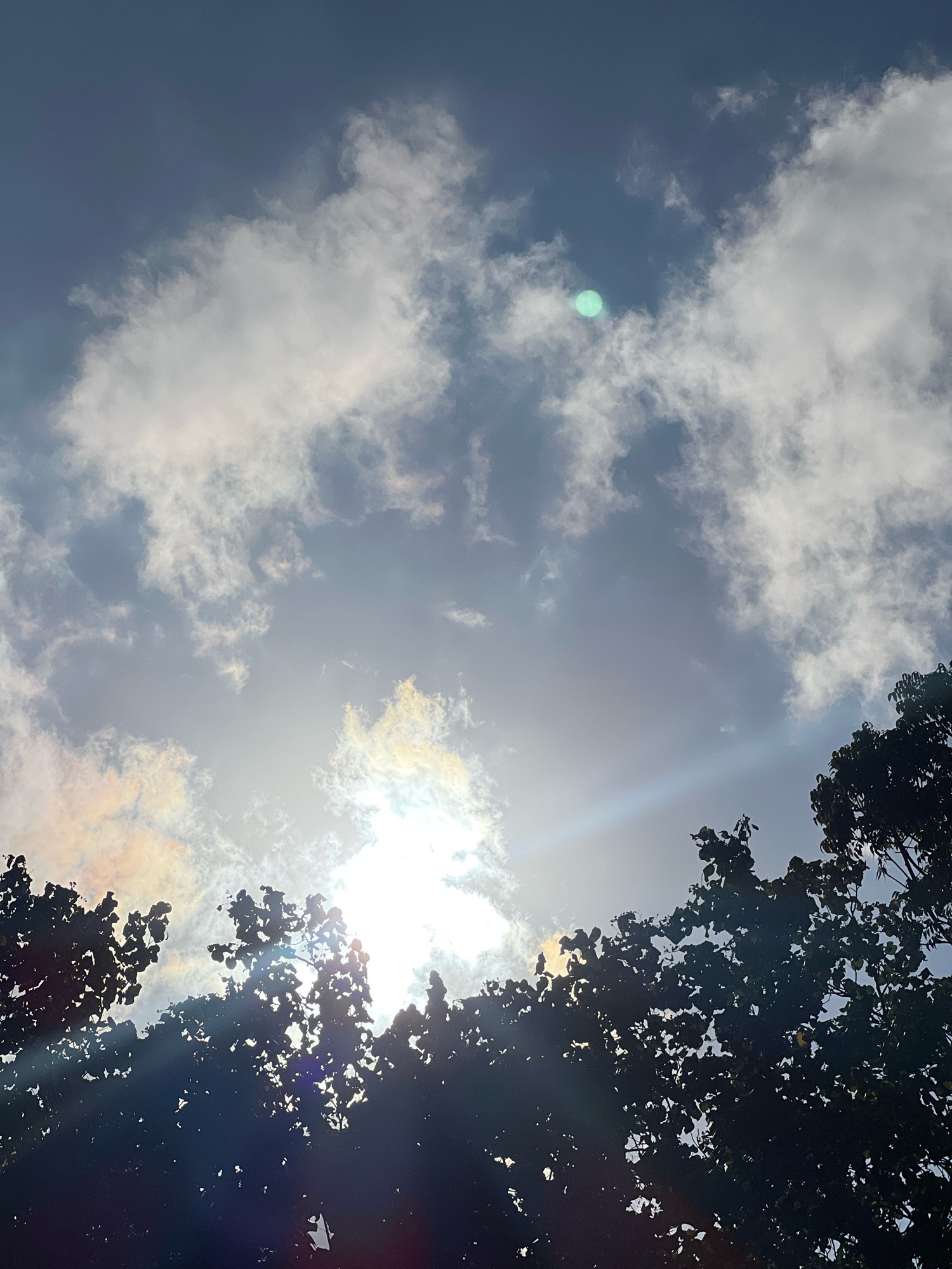 A low-angle shot captures a sky filled with dramatic clouds, illuminated by a bright sun that bursts through, creating rays of light. The sun's glare is intense, with a distinct green orb visible through some of the clouds. Silhouetted against this bright sky are the dark, leafy canopies of several trees, framing the bottom and right edges of the image. The overall impression is one of natural beauty, with the sun and clouds creating a dynamic and awe-inspiring scene. It is not possible to determine the specific location within Denpasar, Indonesia from the provided image.