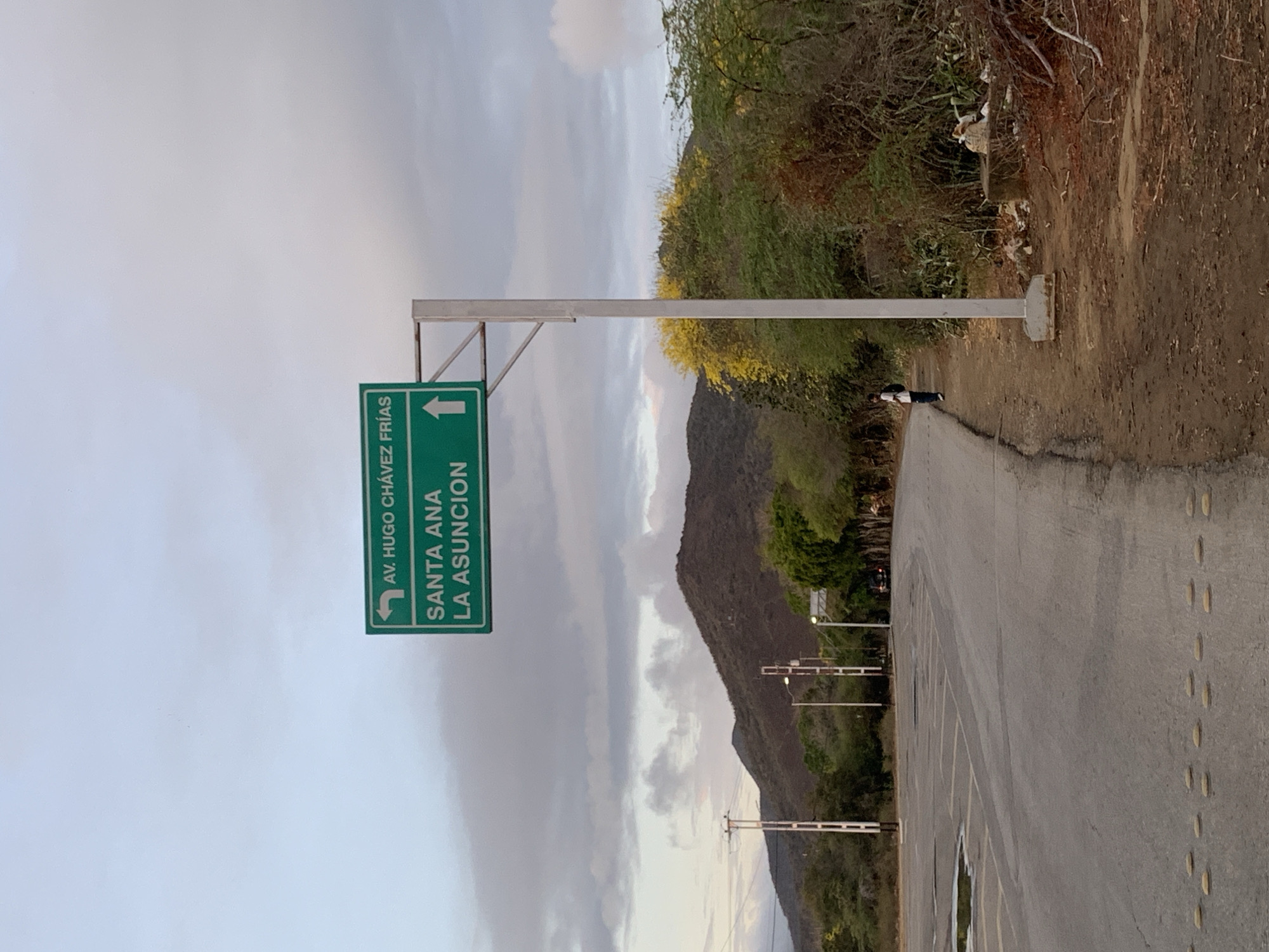 The image captures a road scene in a rural or semi-rural area under an overcast sky, likely during late afternoon or early morning. A paved road stretches into the distance, bordered by dry, sparse vegetation and hills or mountains.
A prominent green road sign stands on the left side of the road, mounted on a metal support structure. The sign provides directions in white capital letters. The top line reads "AV. HUGO CHÁVEZ FRÍAS". Below this, "SANTA ANA" is listed with a left-pointing arrow, indicating a turn-off. The bottom line displays "LA ASUNCION" with an upward-pointing arrow, signaling the straight-ahead route.
The road surface appears to be asphalt, with some faint markings visible further down. To the right of the road, the ground is unpaved and dusty, with scattered bushes and trees, some displaying yellow-green foliage. A mountain range dominates the background on the right, rising under the cloudy sky.
A lone person, dressed in dark clothing, is visible standing on the right side of the road, near the base of the sign's support structure. Utility poles and lines can be seen in the distance along the road. The sky is predominantly cloudy, with patches of lighter and darker gray, suggesting diffused light. The scene depicts an intersection or fork in a road, guiding travelers in La Tagua, Venezuela.