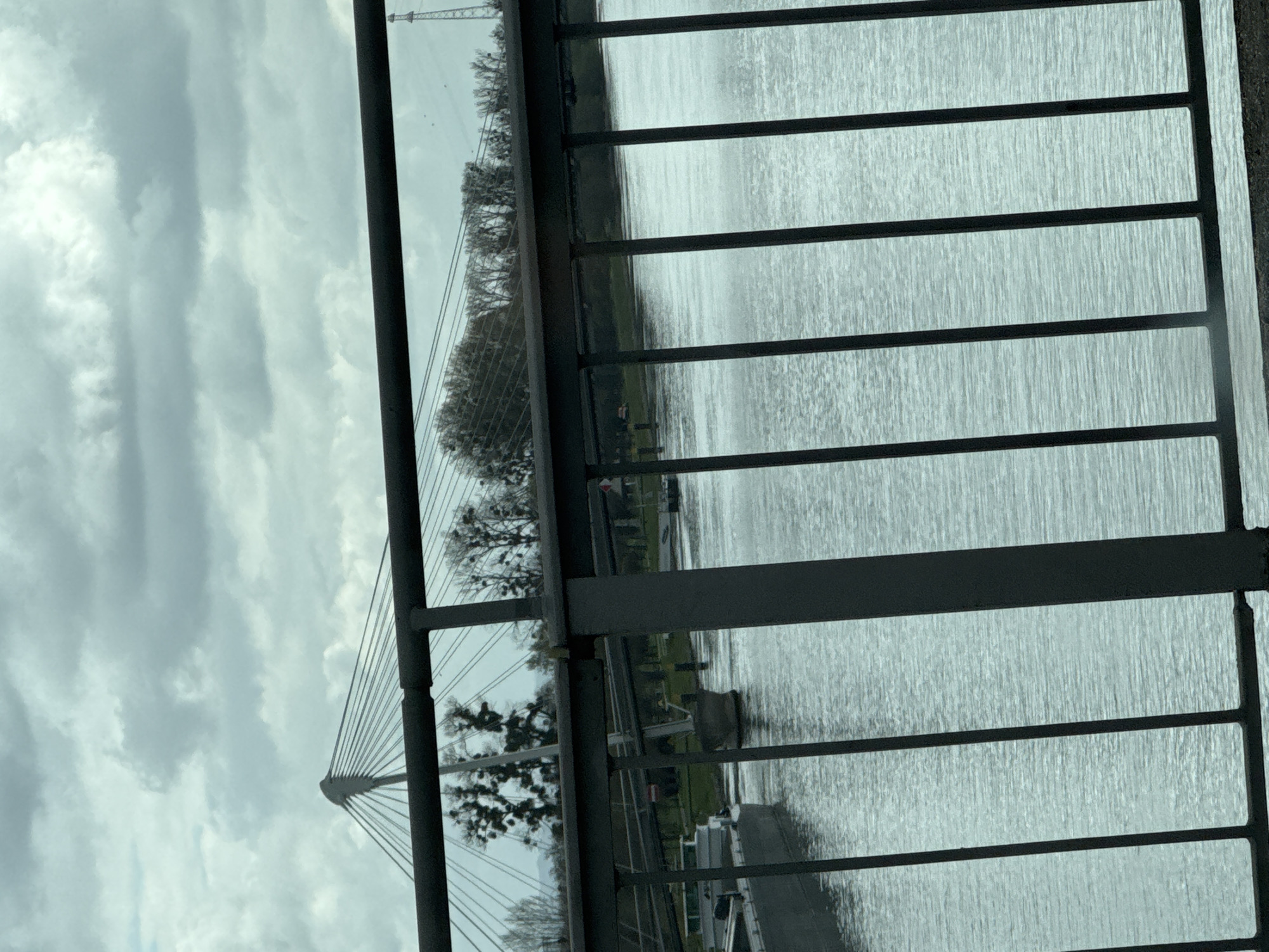 The image shows a partial view of the Passerelle des Deux Rives bridge in Kehl, Germany, seen through a railing. The bridge's cable-stayed tower is visible on the left against a cloudy sky. The Rhine River is on the right, with trees and greenery along the shoreline. A boat is seen docked below.