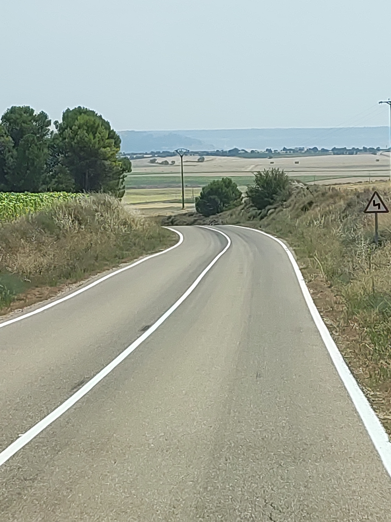 The image depicts a curved asphalt road with white dividing lines, likely a rural road in or around Cigales, Spain. The road is flanked by dry grass and vegetation on the right, and on the left, a hillside with dry grass and some green foliage leads up to a cluster of trees. Beyond the immediate roadside, the landscape opens up to agricultural fields, some appearing harvested with straw bales visible, under a hazy, pale sky. A road sign warning of sharp curves is visible on the right side of the road. Utility poles and lines are present in the distance, suggesting infrastructure in the rural setting. The overall scene conveys a sense of a sunny day in a dry, agricultural region.