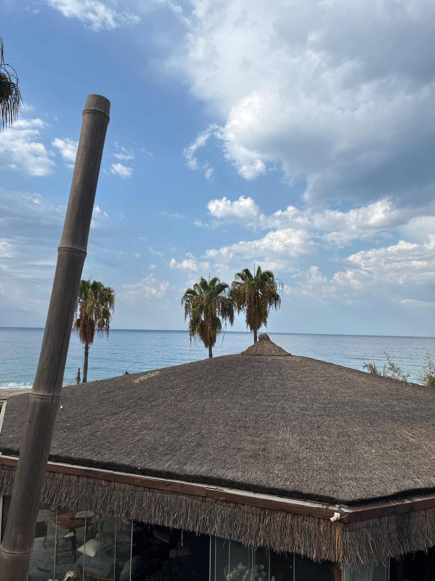 A scene unfolds with a thatched-roof building in the foreground, its rustic texture contrasting with the serene blue ocean and sky beyond. A tall, rough-hewn bamboo pole stands diagonally on the left, dominating the foreground and hinting at a tropical or coastal setting. Several palm trees, their fronds splayed against the sky, are visible behind the building, dotting the horizon. The sea stretches out, a vast expanse of calm blue water meeting a cloudy sky, with hints of a distant shoreline. The building itself appears to be a restaurant or cafe, with large glass windows offering a glimpse of tables and chairs inside, suggesting a leisurely atmosphere. The overall impression is one of a tranquil day at the beach in Alanya, Turkey, where the natural beauty of the coast is complemented by charming, open-air architecture.