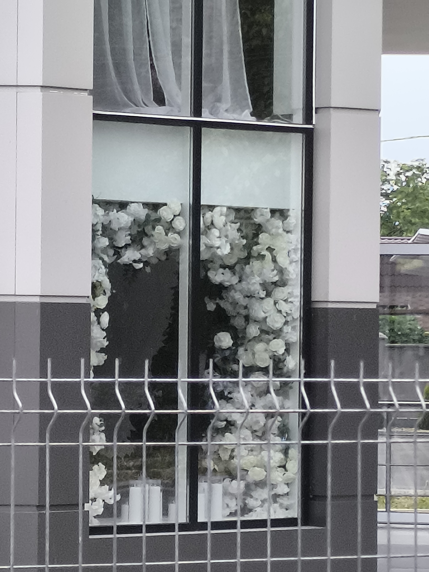 A close-up, eye-level, medium shot captures the lower portion of a modern building's facade. The structure features clean lines, with white rectangular pillars and dark grey lower sections. The central focus is a large window, divided into two vertical panes by a dark frame. The left pane is partially obscured by white sheer curtains. Both panes are heavily decorated with an abundance of artificial white flowers, creating a dense, cascading effect. In the bottom section of the window, behind the flowers, a row of white cylindrical objects, possibly candles, are visible. In front of the building, a silver metal fence with a grid pattern runs horizontally across the foreground, partially obscuring the view of the building and its lower details. The background suggests an outdoor environment with trees and a glimpse of a cloudy sky, consistent with an urban setting. The image appears to be taken on a bright, overcast day.