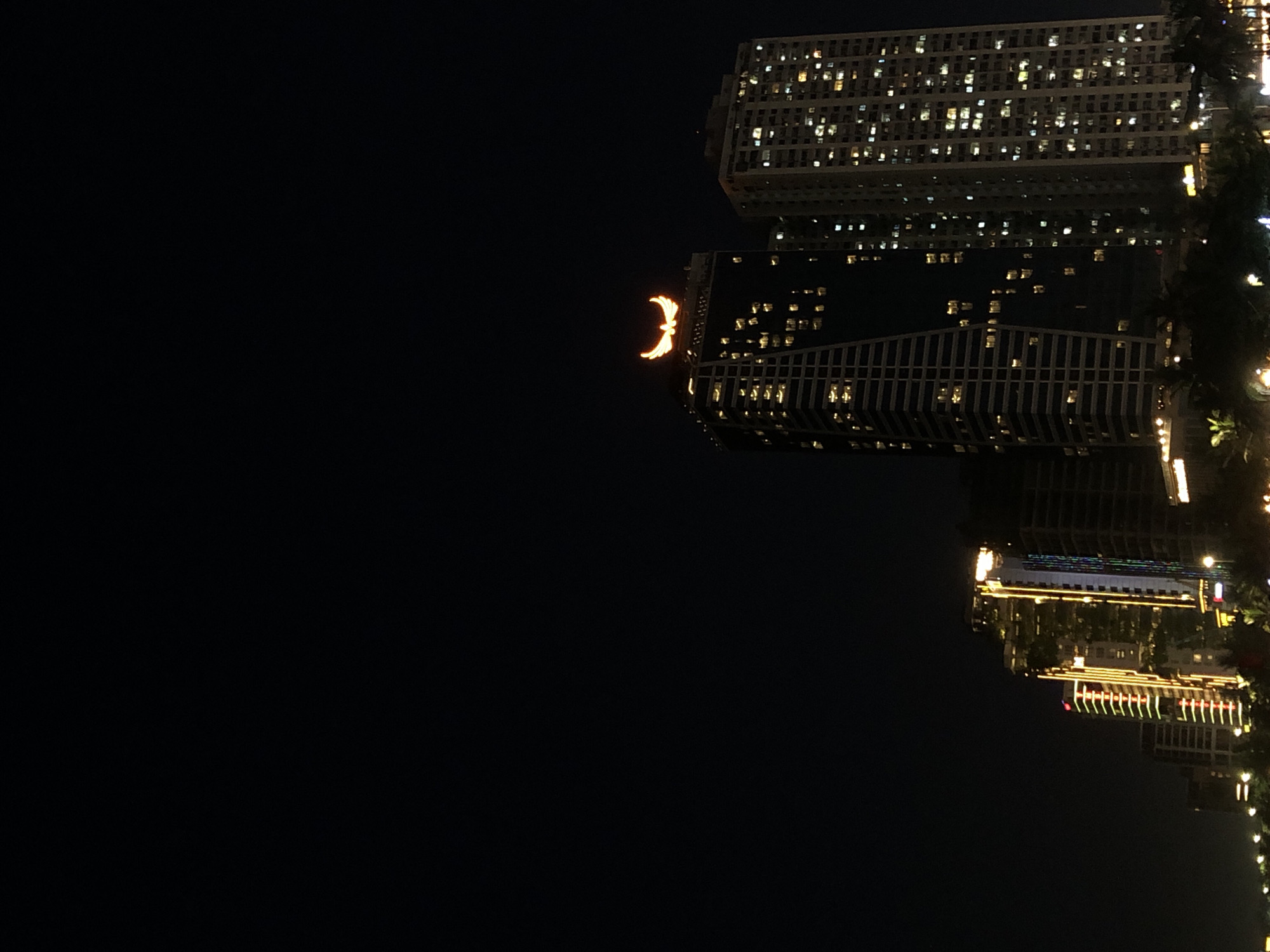 This image captures a nighttime view of the coastline in Da Nang, Vietnam. The scene is dominated by the dark sky, with several illuminated skyscrapers in the lower portion of the frame. The buildings display a multitude of lit windows, suggesting occupancy. One prominent building on the right is taller and wider than the one to its left, which features a large, illuminated wing-like logo at its peak. In the distance, a row of smaller buildings and structures are also lit, with some displaying colorful vertical lighting patterns. Silhouettes of palm trees are visible at the very bottom, hinting at a tropical coastal environment. The lighting suggests urban development along the waterfront.
